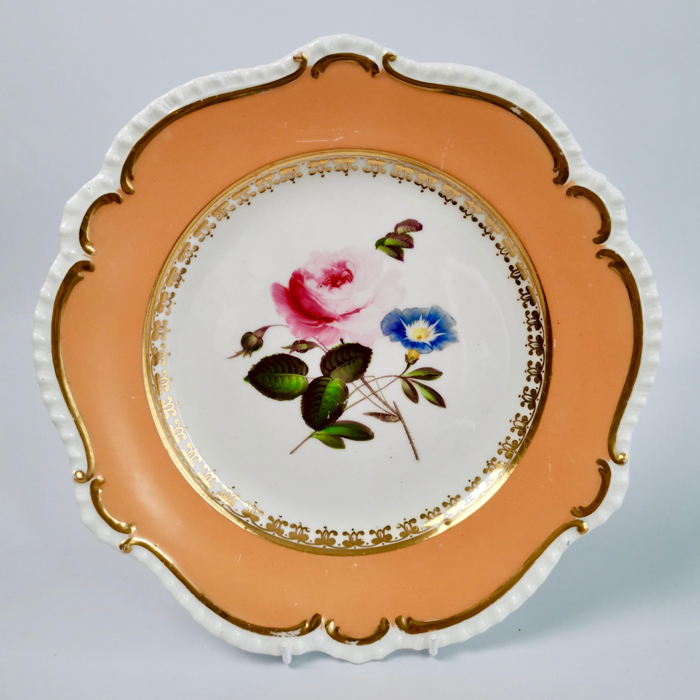 Coalport Porcelain Dessert Service, Botanical, Peach Ground, Regency 1820-1825 5