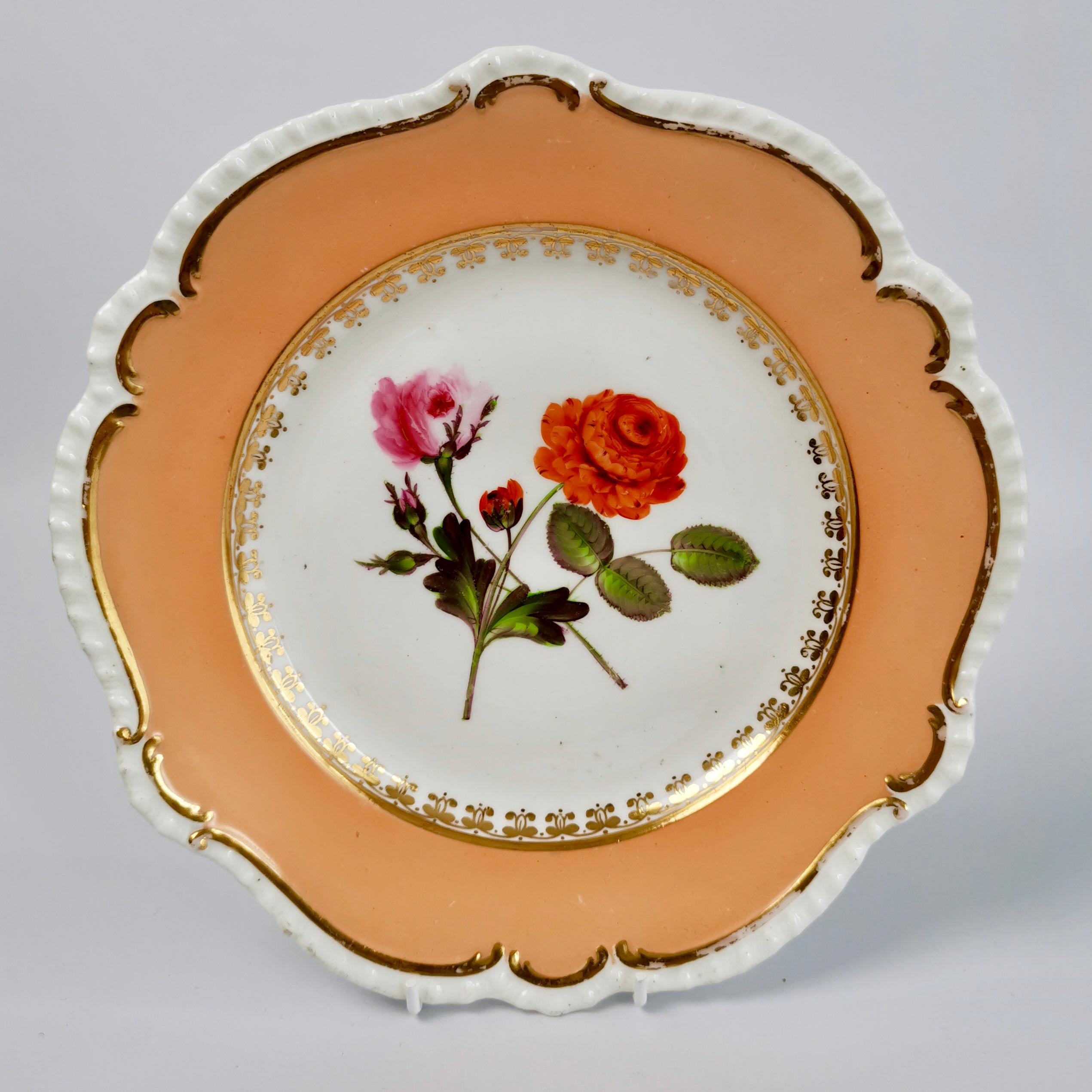 Coalport Porcelain Dessert Service, Botanical, Peach Ground, Regency 1820-1825 9