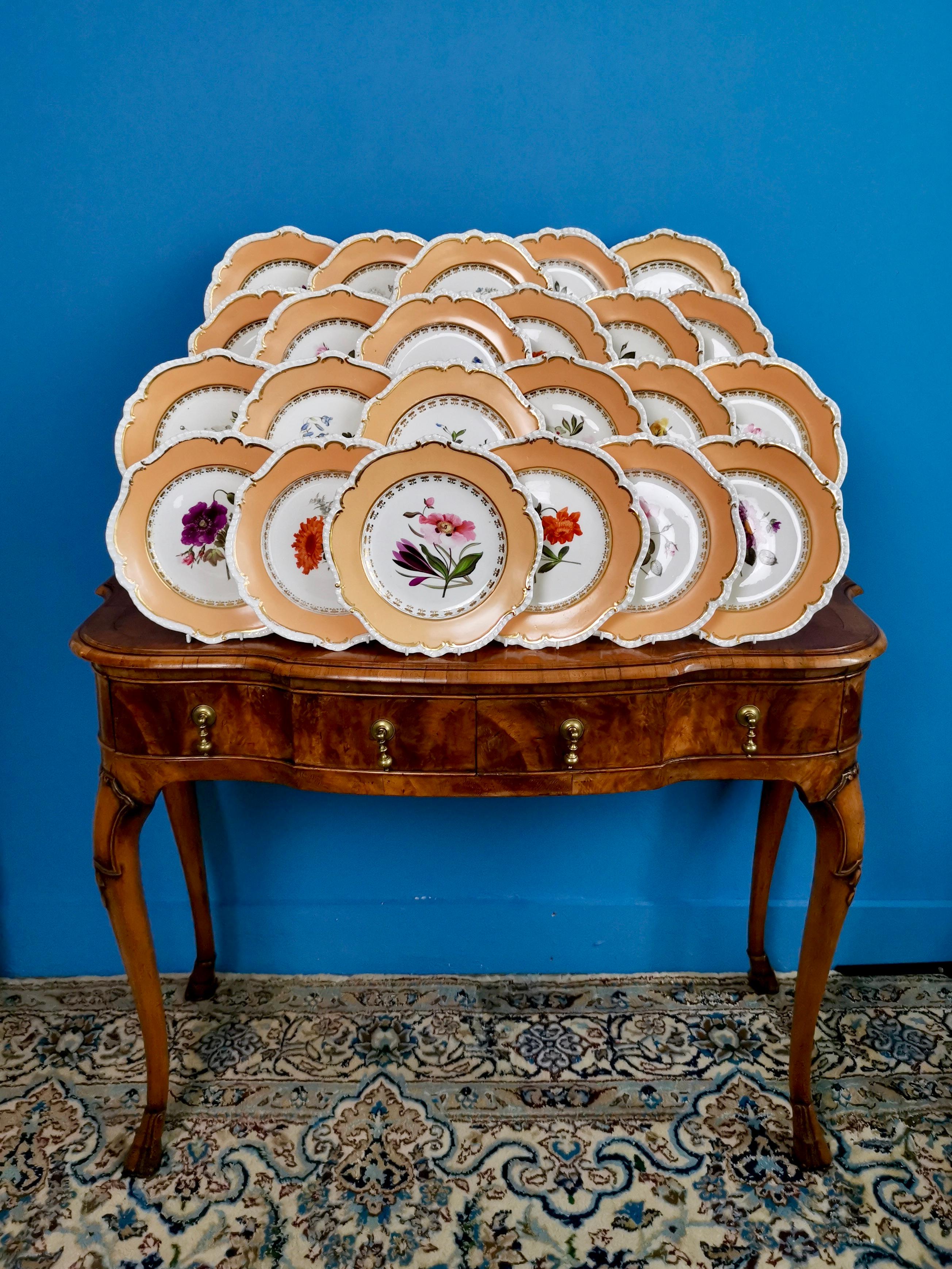 On offer is a rare set of 23 dessert plates made by Coalport between 1820 and 1825. The plates are decorated in a peach ground with stunning botanical paintings attributed to Cecil Jones.

Coalport was one of the leading potters in 19th and 20th