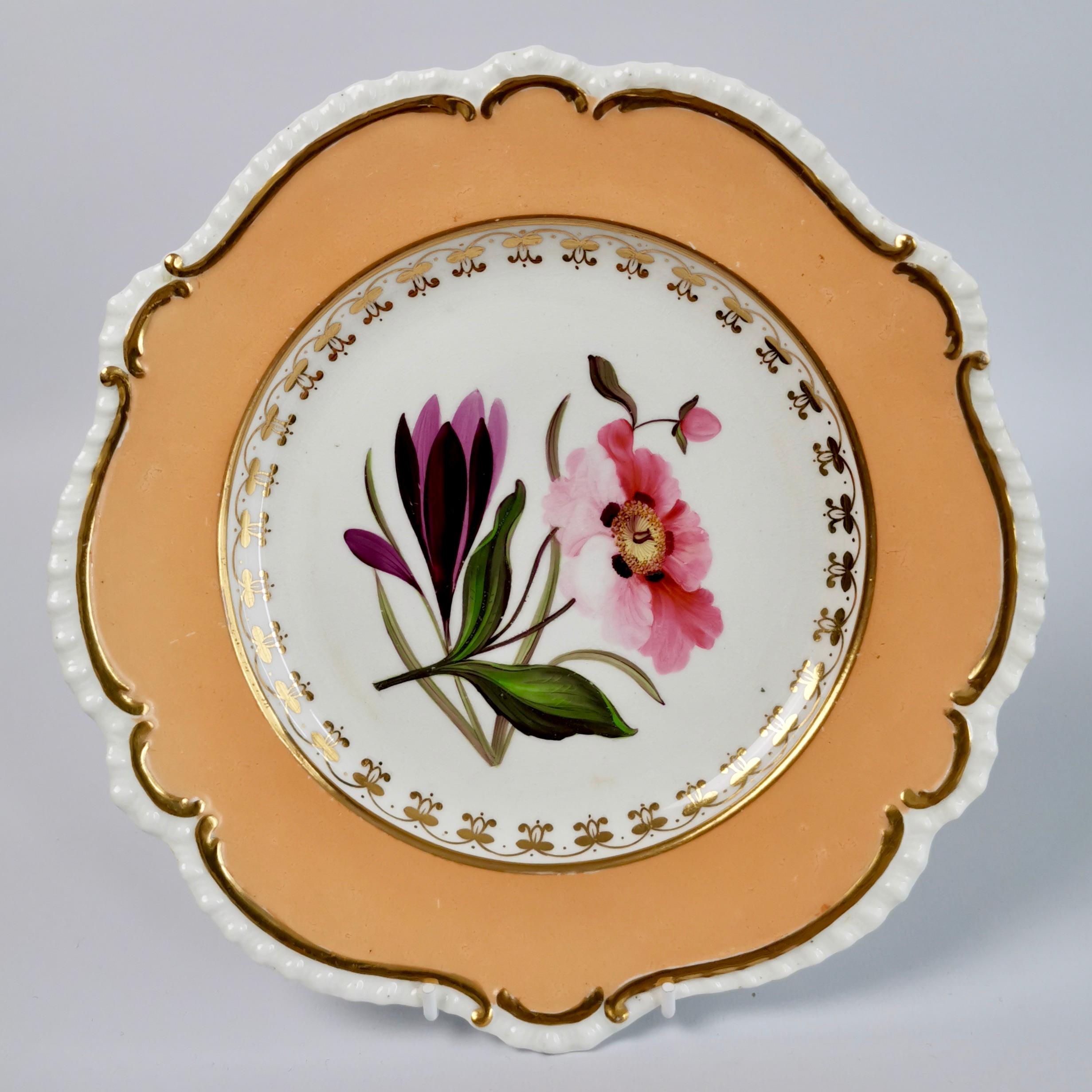 Hand-Painted Coalport Porcelain Dessert Service, Botanical, Peach Ground, Regency 1820-1825