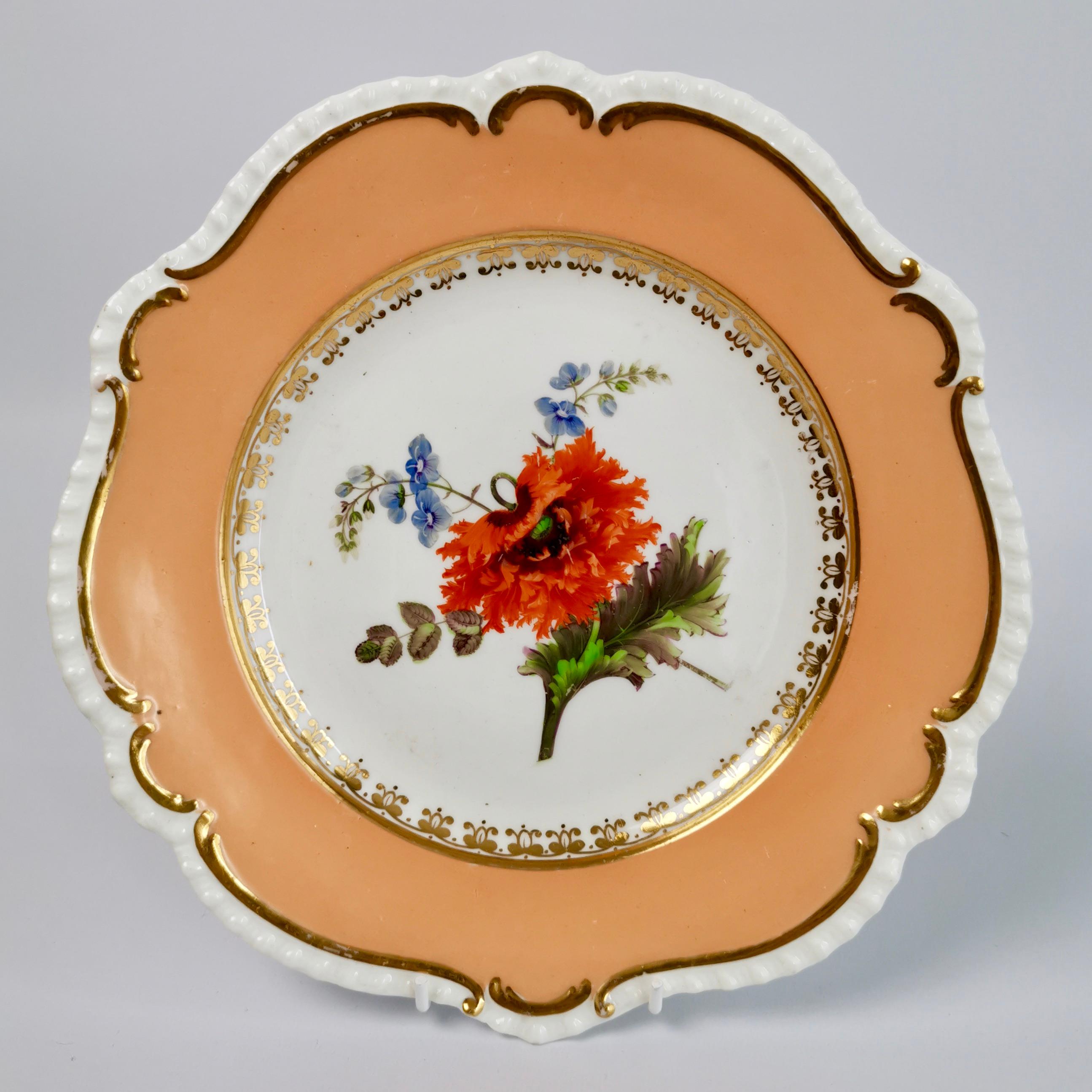 Early 19th Century Coalport Porcelain Dessert Service, Botanical, Peach Ground, Regency 1820-1825