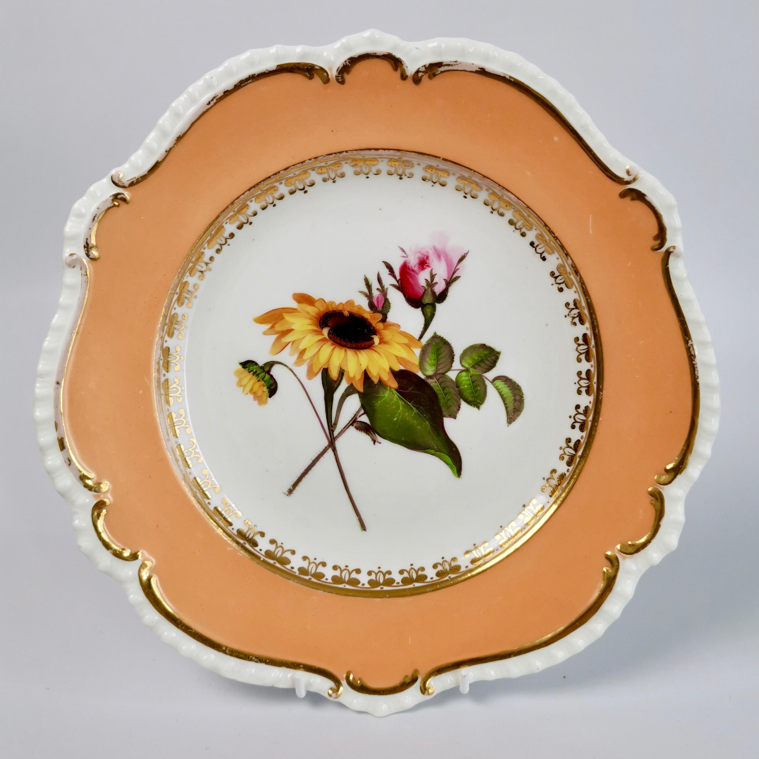 Coalport Porcelain Dessert Service, Botanical, Peach Ground, Regency 1820-1825 1