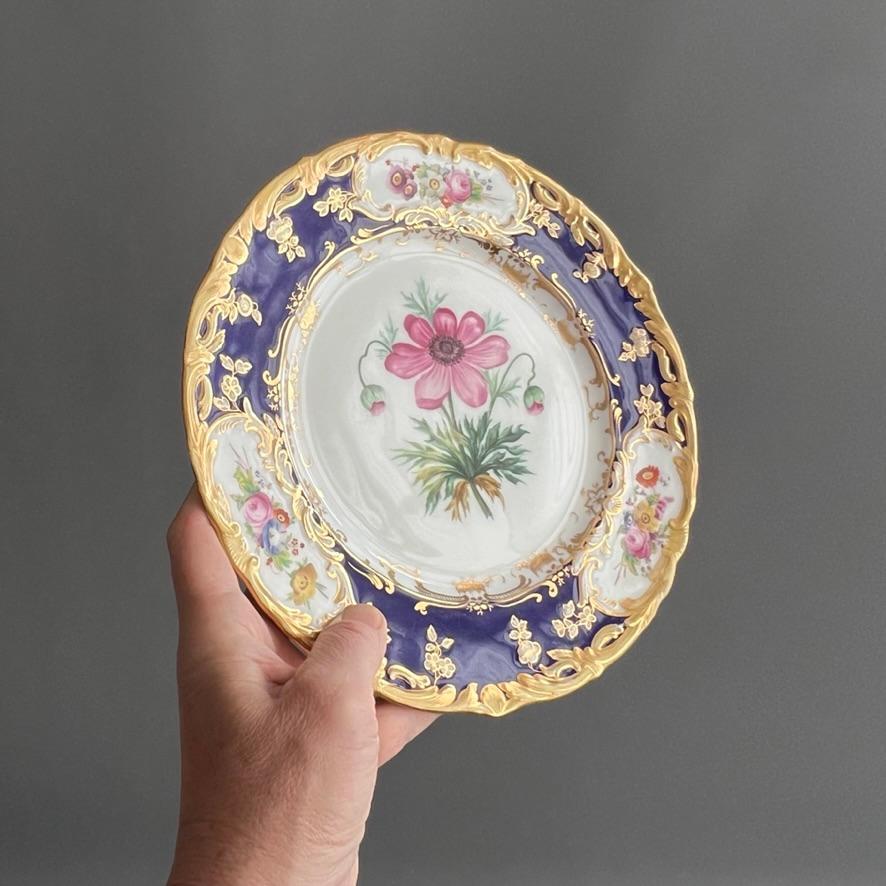 Plato Coalport, azul cobalto con ranúnculos rosas de Stephen Lawrance, 1840 en venta 2