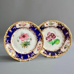 Coalport Plate, Cobalt Blue with Pink Ranunculus by Stephen Lawrance, 1840