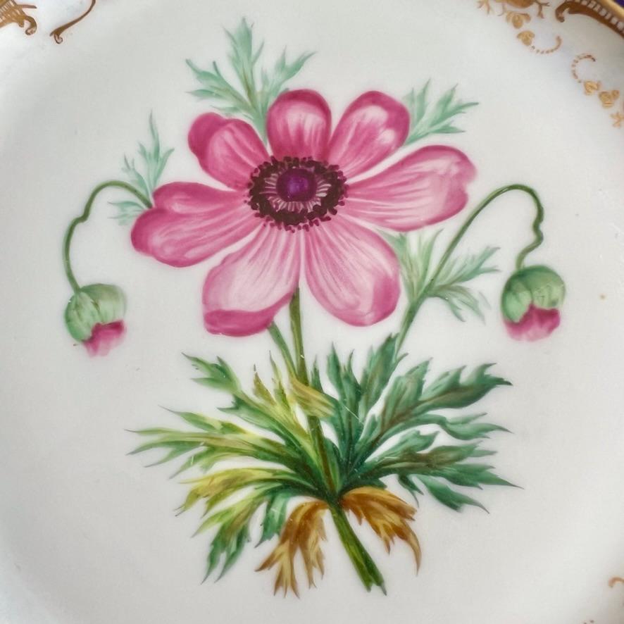 Plato Coalport, azul cobalto con ranúnculos rosas de Stephen Lawrance, 1840 Regencia en venta