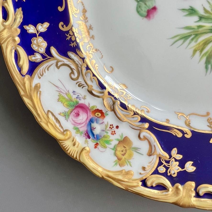 Plato Coalport, azul cobalto con ranúnculos rosas de Stephen Lawrance, 1840 Pintado a mano en venta