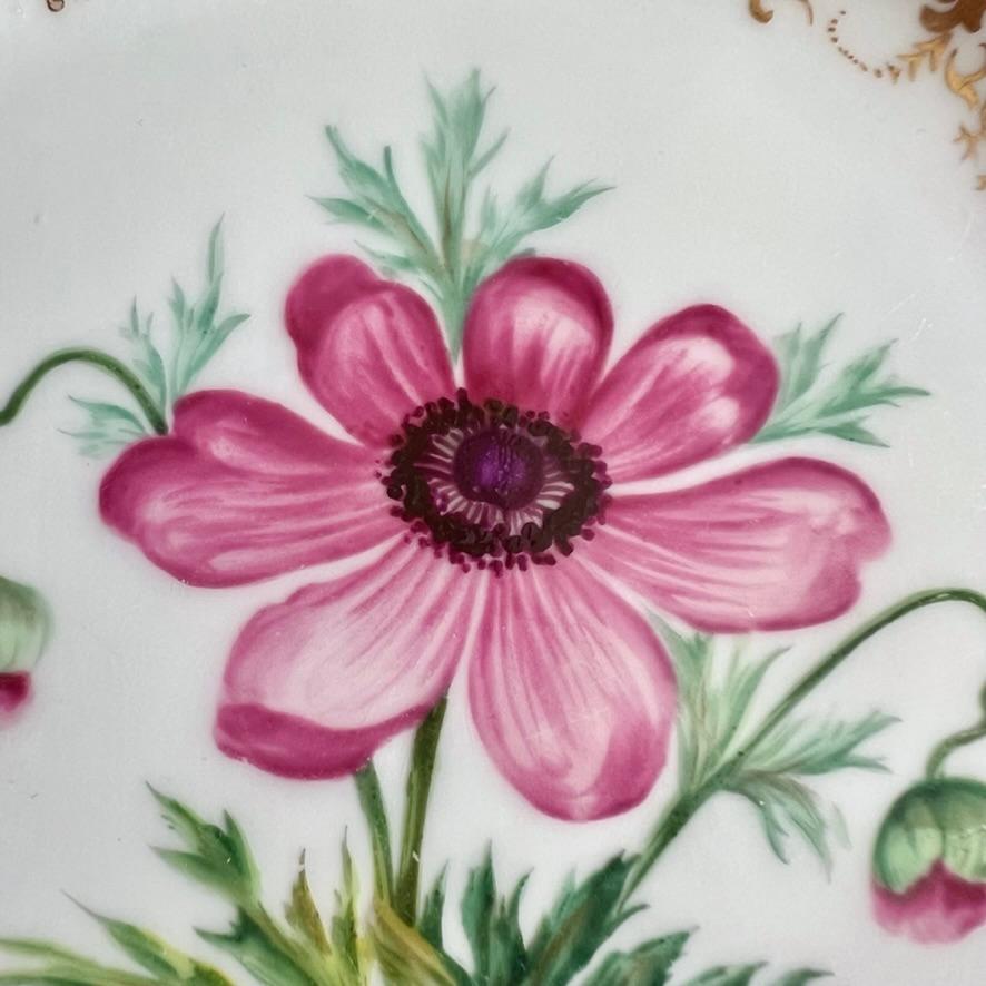 Plato Coalport, azul cobalto con ranúnculos rosas de Stephen Lawrance, 1840 Mediados del siglo XIX en venta