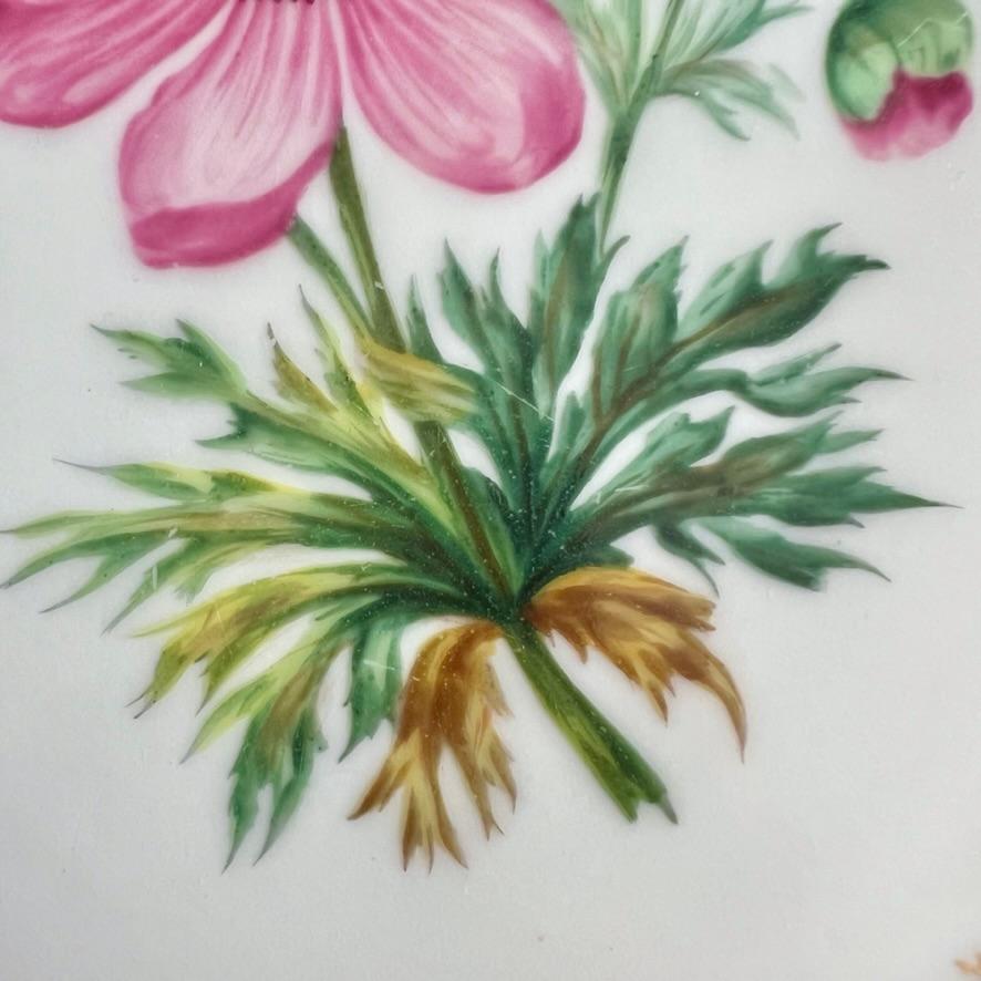 Plato Coalport, azul cobalto con ranúnculos rosas de Stephen Lawrance, 1840 Porcelana en venta