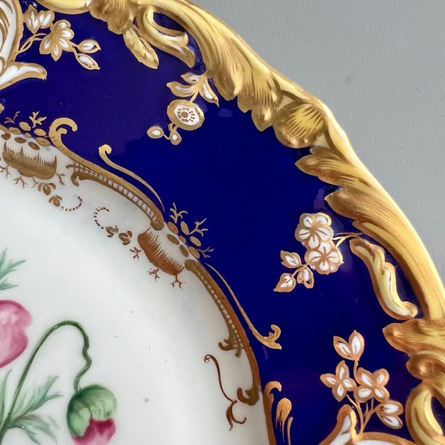 Plato Coalport, azul cobalto con ranúnculos rosas de Stephen Lawrance, 1840 en venta 1