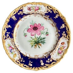 Plato Coalport, azul cobalto con ranúnculos rosas de Stephen Lawrance, 1840