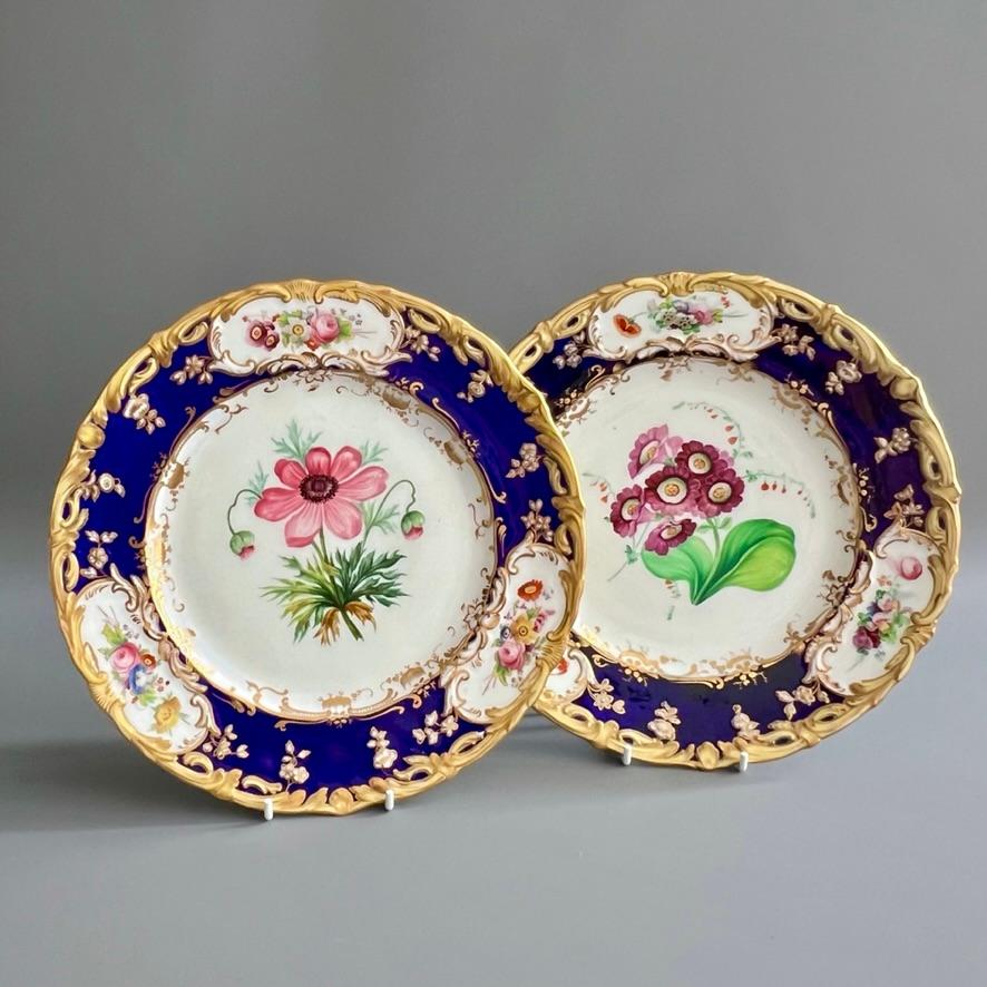 Este hermoso plato fue fabricado por Coalport hacia 1840 y habría pertenecido al servicio de postre grande con el patrón 4/412, que sabemos que se hizo en muchos colores diferentes, todos con flores pintadas por Stephen Lawrance, uno de los mejores
