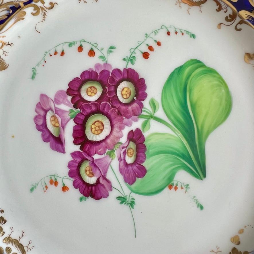 Plato Coalport, azul cobalto con prímula púrpura de Stephen Lawrance, 1840 Regencia en venta