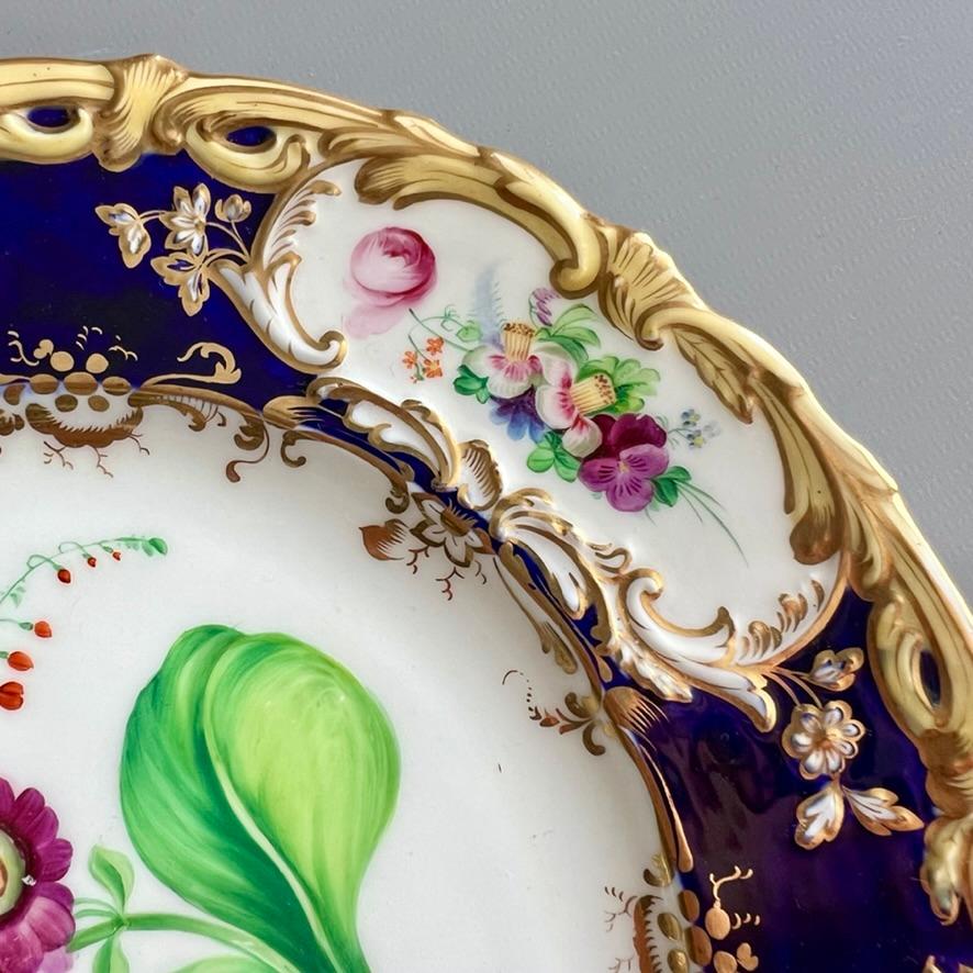 Plato Coalport, azul cobalto con prímula púrpura de Stephen Lawrance, 1840 Pintado a mano en venta