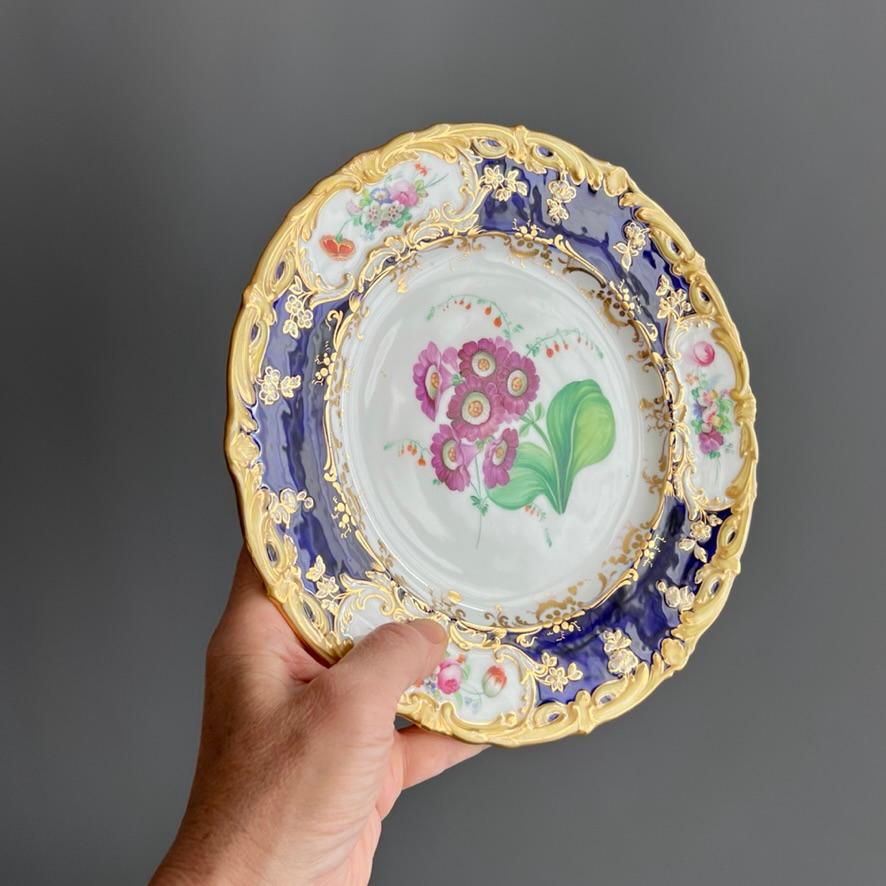 Plato Coalport, azul cobalto con prímula púrpura de Stephen Lawrance, 1840 en Bueno estado para la venta en London, GB