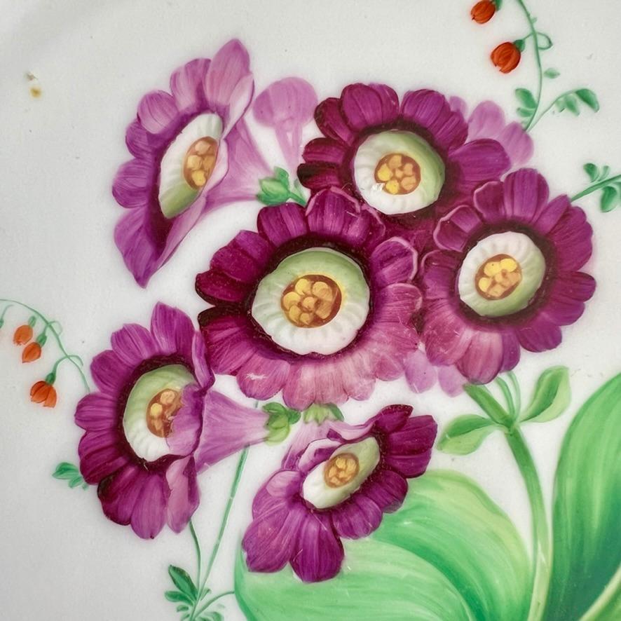 Plato Coalport, azul cobalto con prímula púrpura de Stephen Lawrance, 1840 Mediados del siglo XIX en venta