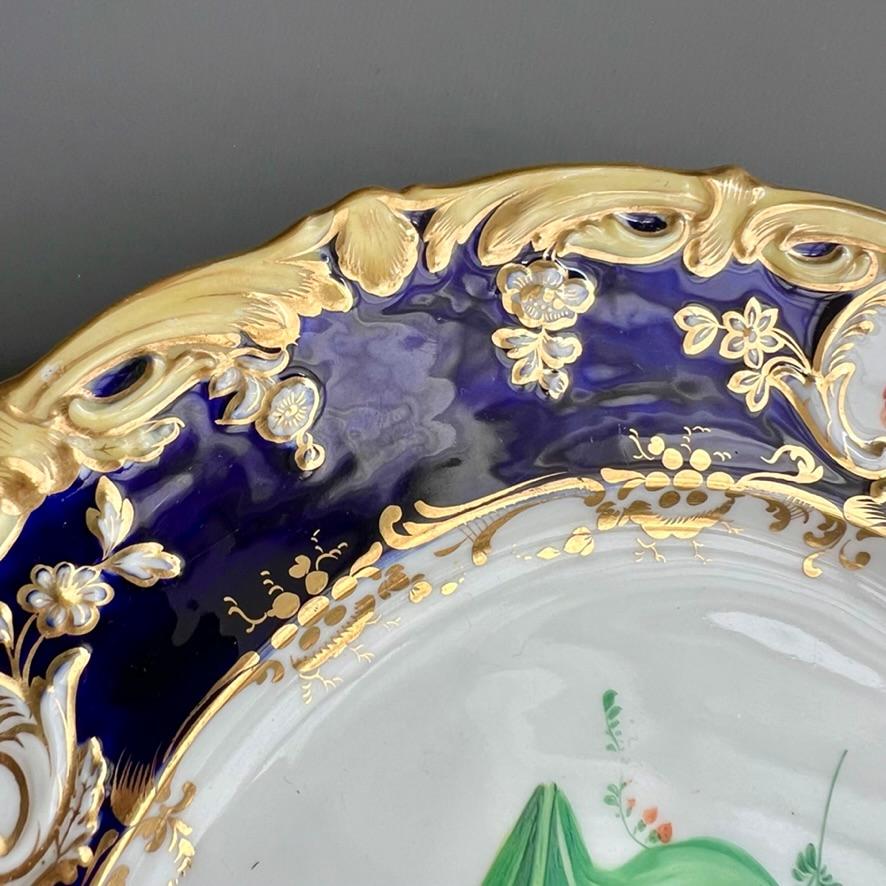 Plato Coalport, azul cobalto con prímula púrpura de Stephen Lawrance, 1840 Porcelana en venta