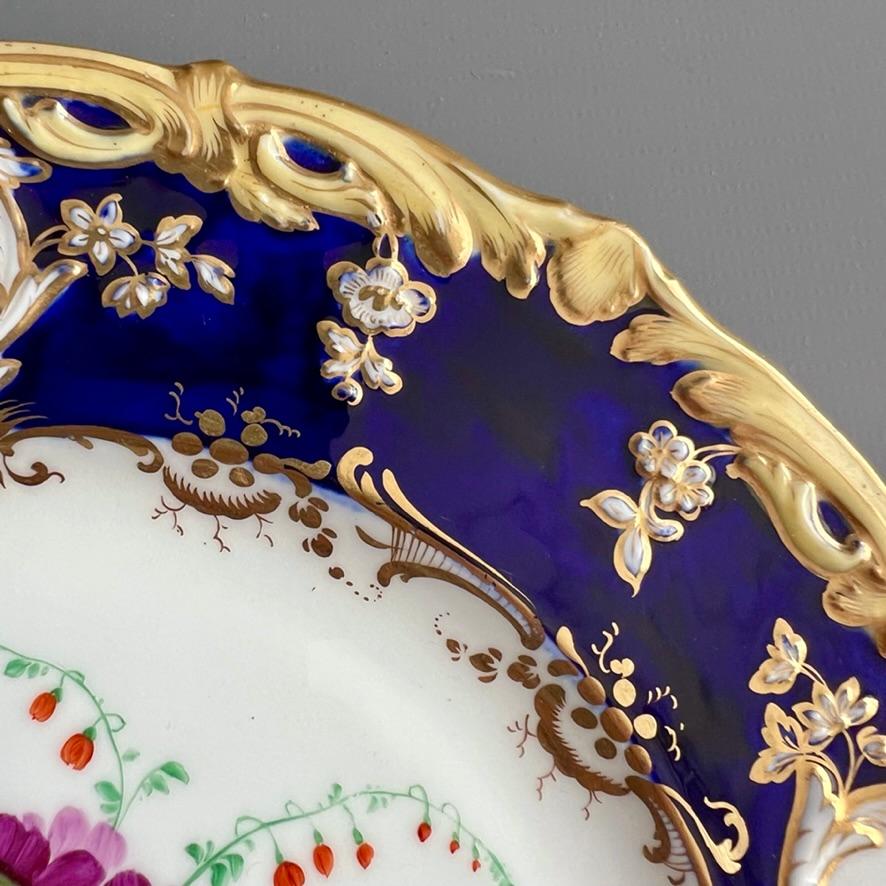 Plato Coalport, azul cobalto con prímula púrpura de Stephen Lawrance, 1840 en venta 1