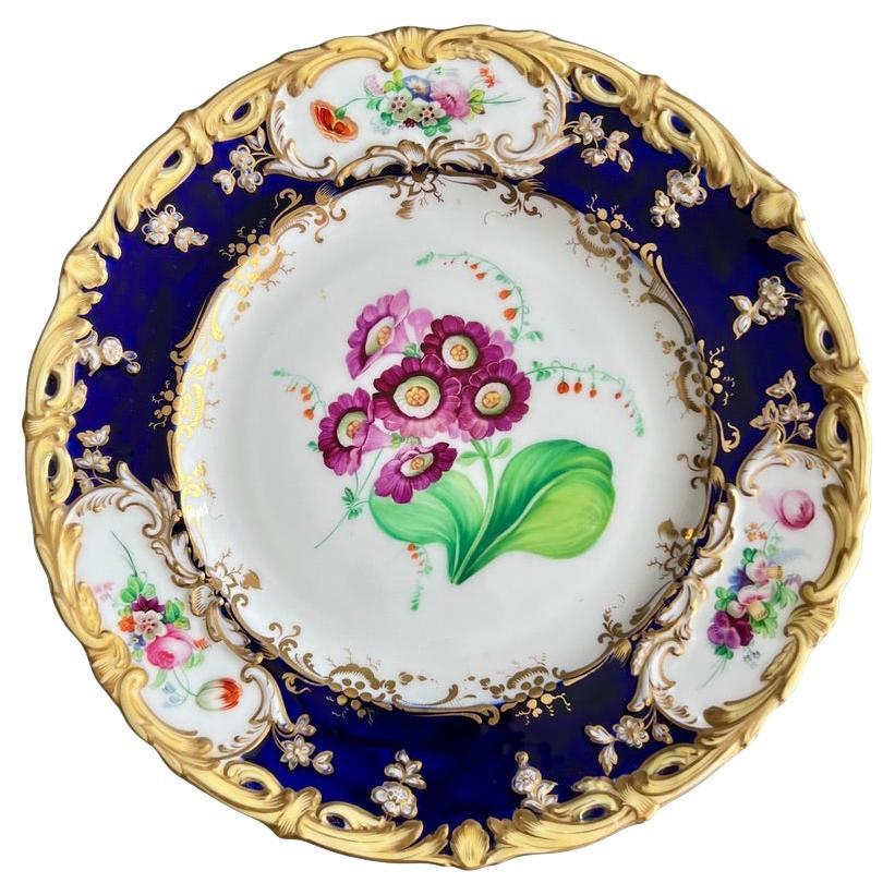 Plato Coalport, azul cobalto con prímula púrpura de Stephen Lawrance, 1840