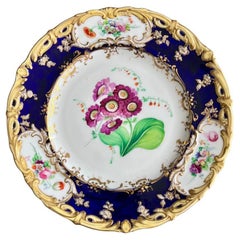 Plato Coalport, azul cobalto con prímula púrpura de Stephen Lawrance, 1840