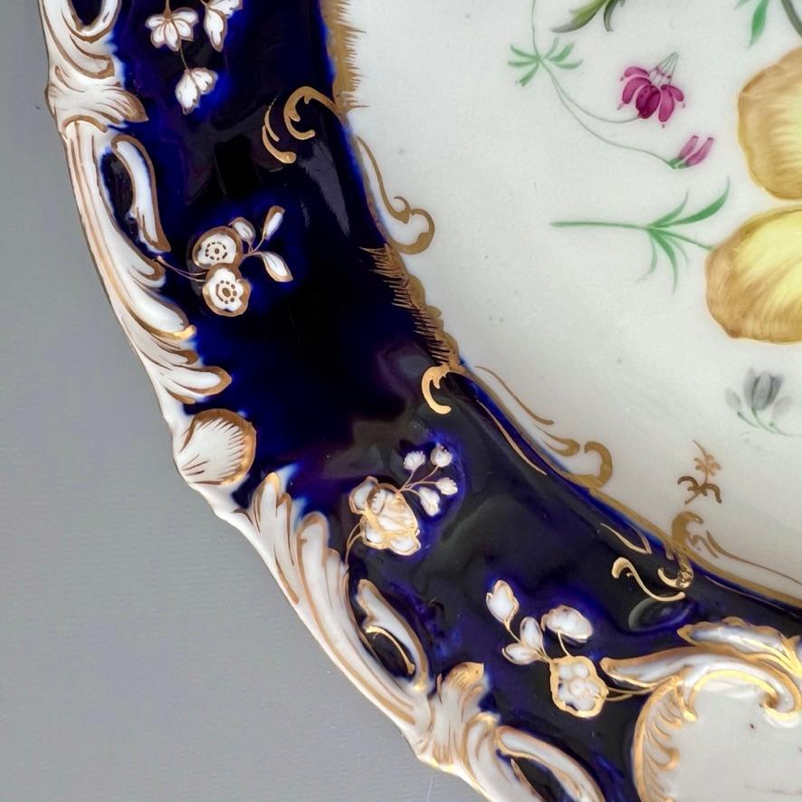 Plato Coalport, azul cobalto con ranúnculos amarillos de Stephen Lawrance, 1840 en venta 2