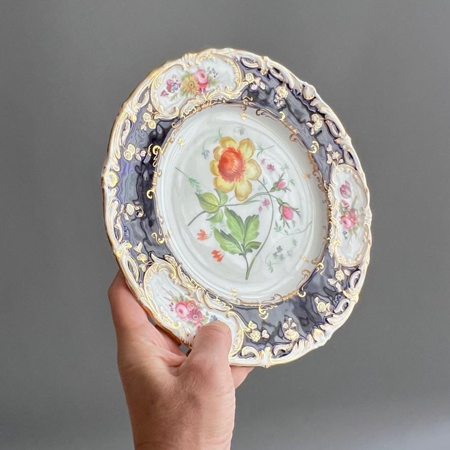 Este hermoso plato fue fabricado por Coalport hacia 1840 y habría pertenecido al servicio de postre grande con el patrón 4/412, que sabemos que se hizo en muchos colores diferentes, todos con flores pintadas por Stephen Lawrance, uno de los mejores