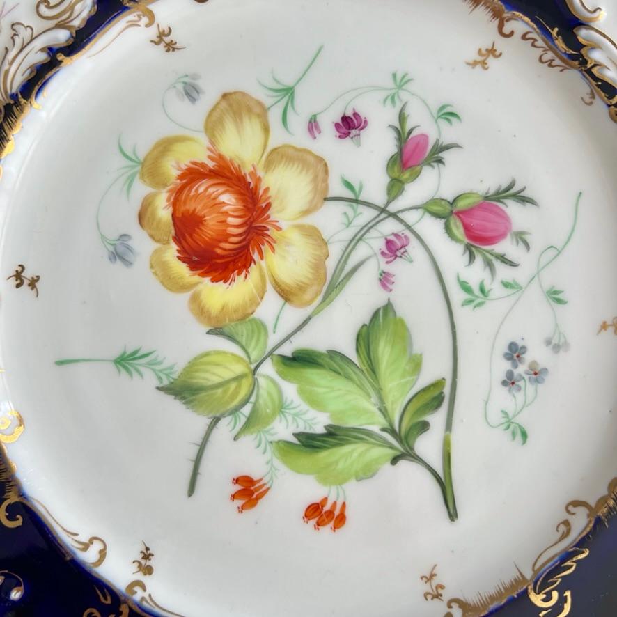 Plato Coalport, azul cobalto con ranúnculos amarillos de Stephen Lawrance, 1840 Regencia en venta