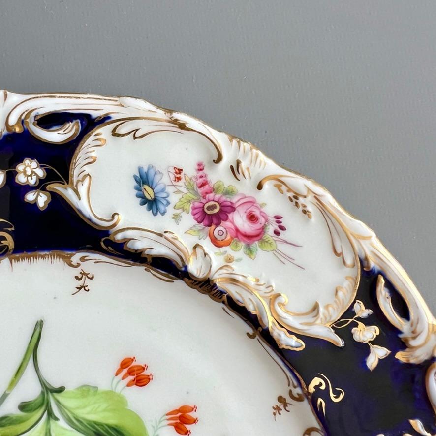 Plato Coalport, azul cobalto con ranúnculos amarillos de Stephen Lawrance, 1840 Pintado a mano en venta