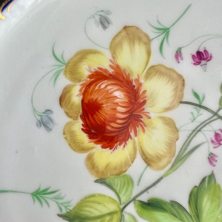 Plato Coalport, azul cobalto con ranúnculos amarillos de Stephen Lawrance, 1840 en Bueno estado para la venta en London, GB