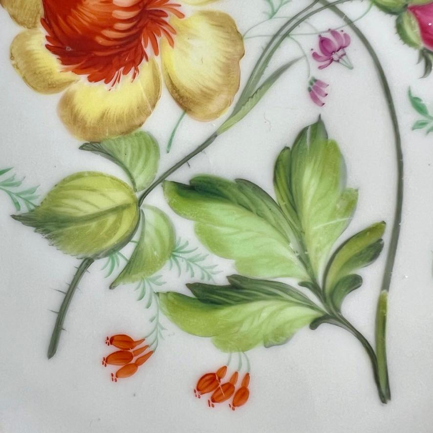 Plato Coalport, azul cobalto con ranúnculos amarillos de Stephen Lawrance, 1840 Mediados del siglo XIX en venta