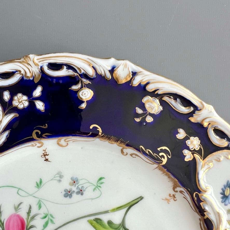 Plato Coalport, azul cobalto con ranúnculos amarillos de Stephen Lawrance, 1840 Porcelana en venta