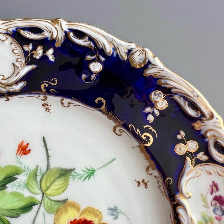Plato Coalport, azul cobalto con ranúnculos amarillos de Stephen Lawrance, 1840 en venta 1