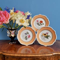 Coalport Plate, Peach with Flowers, Regency, Porcelain 1820-1825