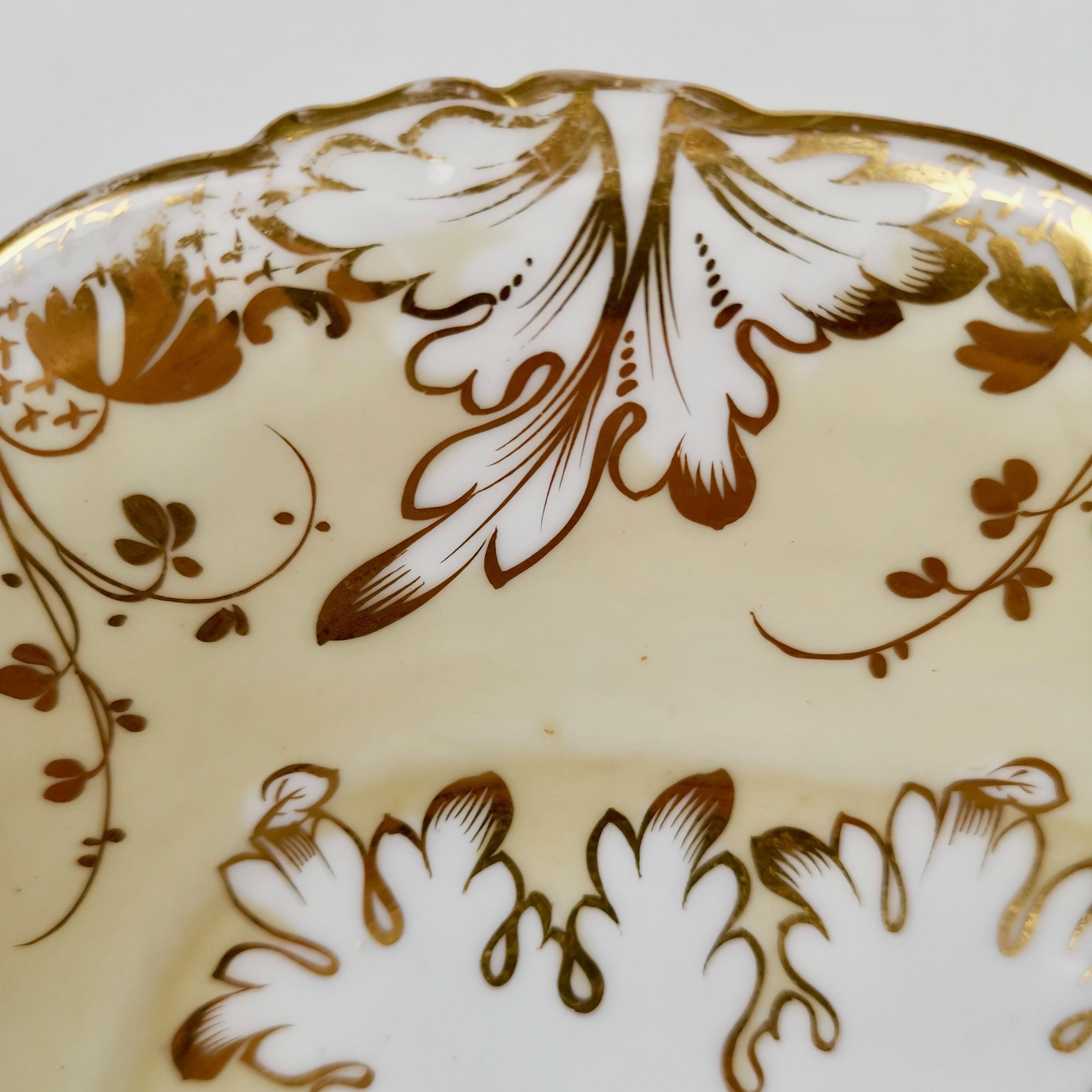 Coalport Porcelain Cake Plate, Beige and Gilt, Flowers by Thomas Dixon, 1837 In Good Condition In London, GB