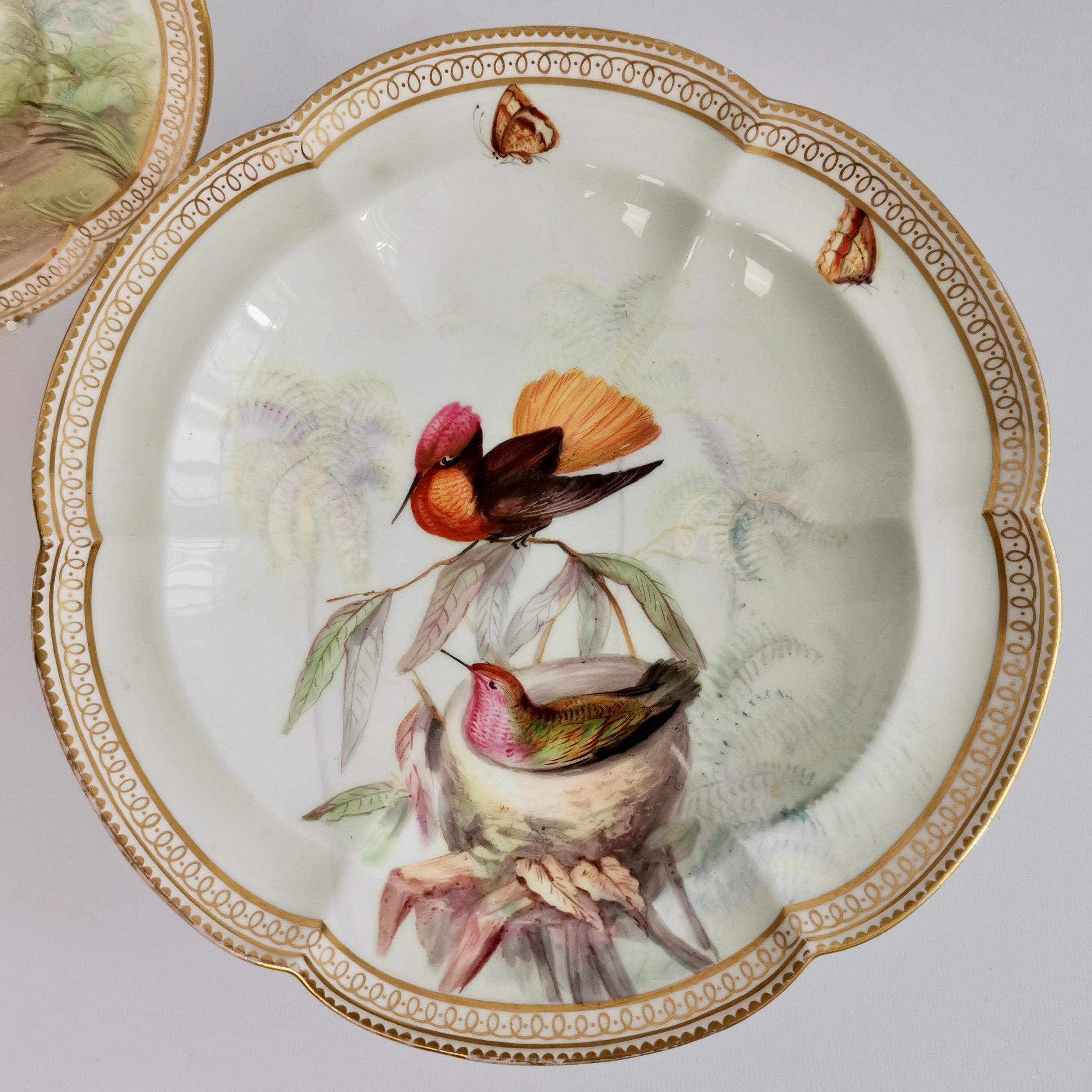 English Coalport Porcelain Comport and Plate, Birds by John Randall, Victorian 1865-1870