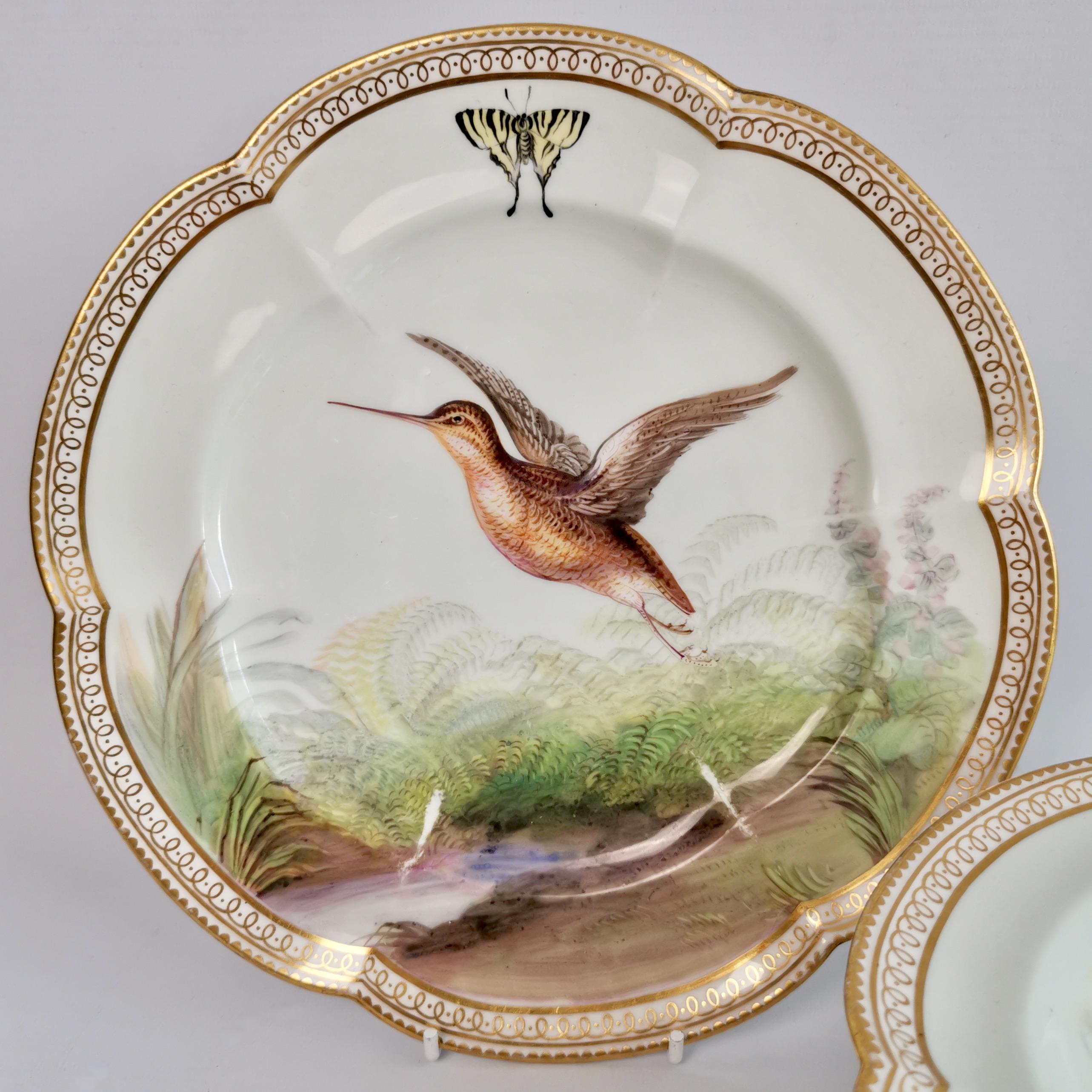 Hand-Painted Coalport Porcelain Comport and Plate, Birds by John Randall, Victorian 1865-1870