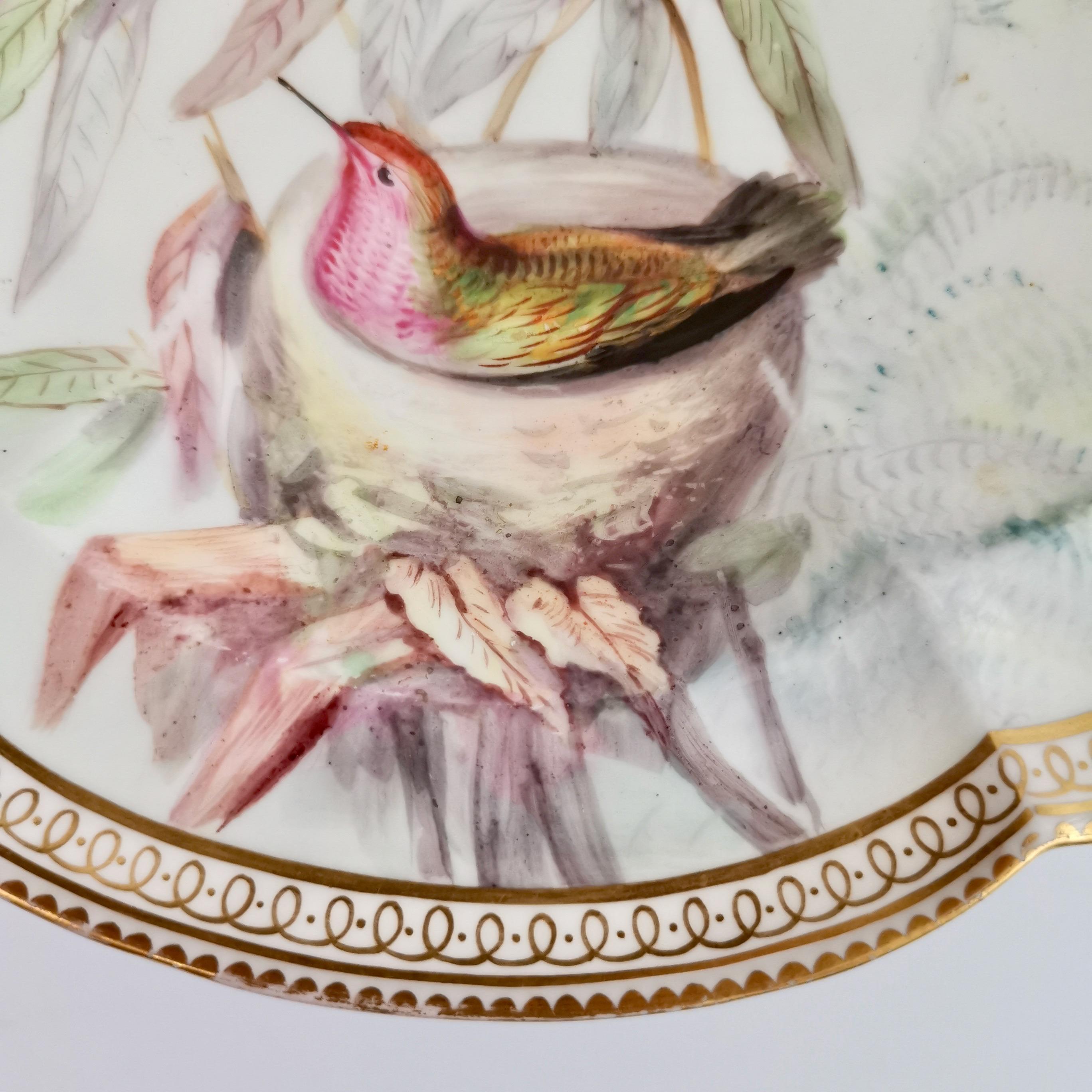 Mid-19th Century Coalport Porcelain Comport and Plate, Birds by John Randall, Victorian 1865-1870