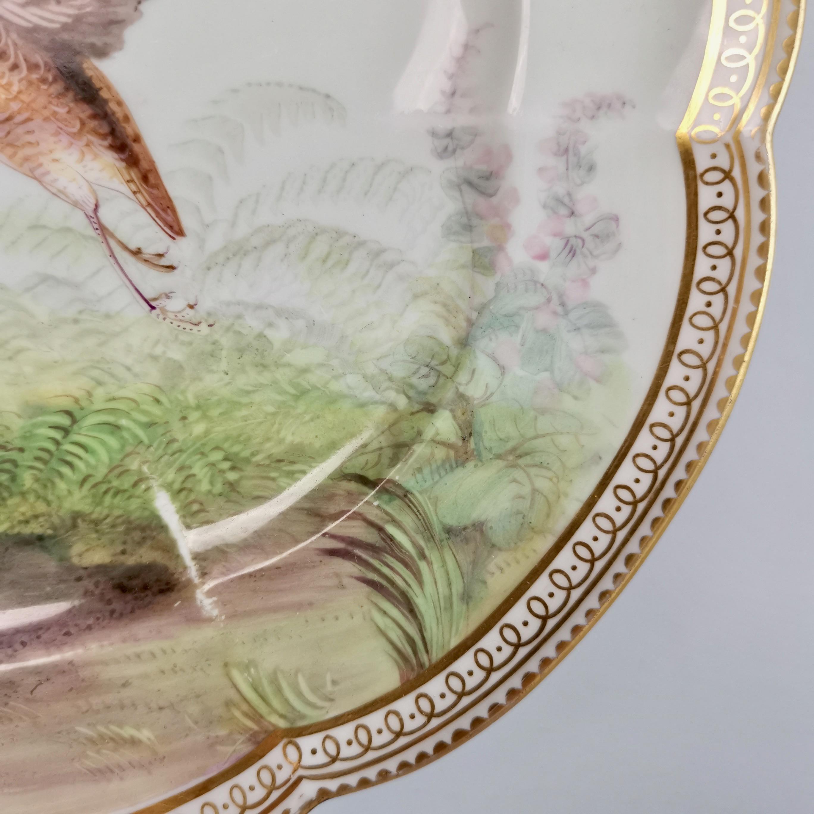 Coalport Porcelain Comport and Plate, Birds by John Randall, Victorian 1865-1870 3