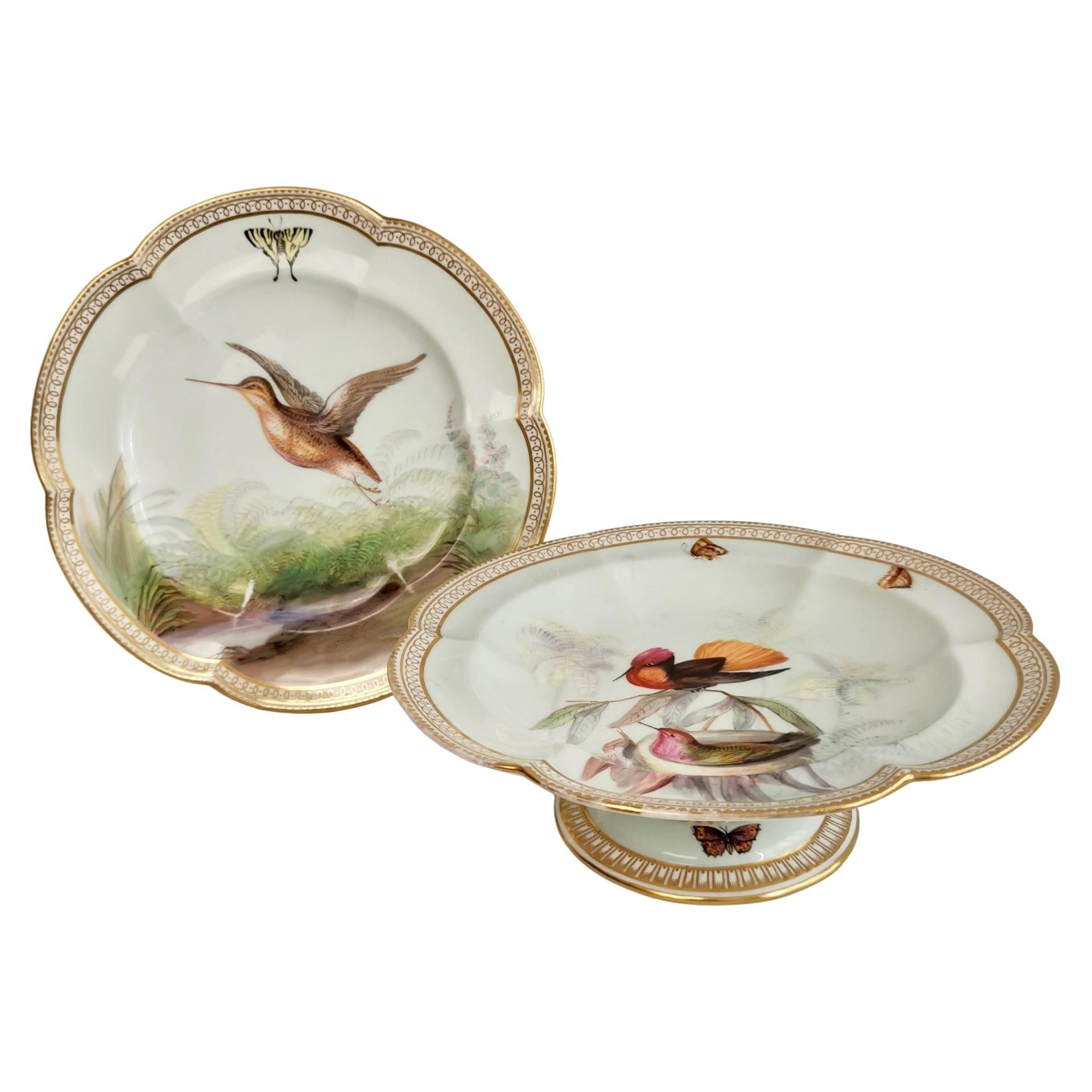 Coalport Porcelain Comport and Plate, Birds by John Randall, Victorian 1865-1870