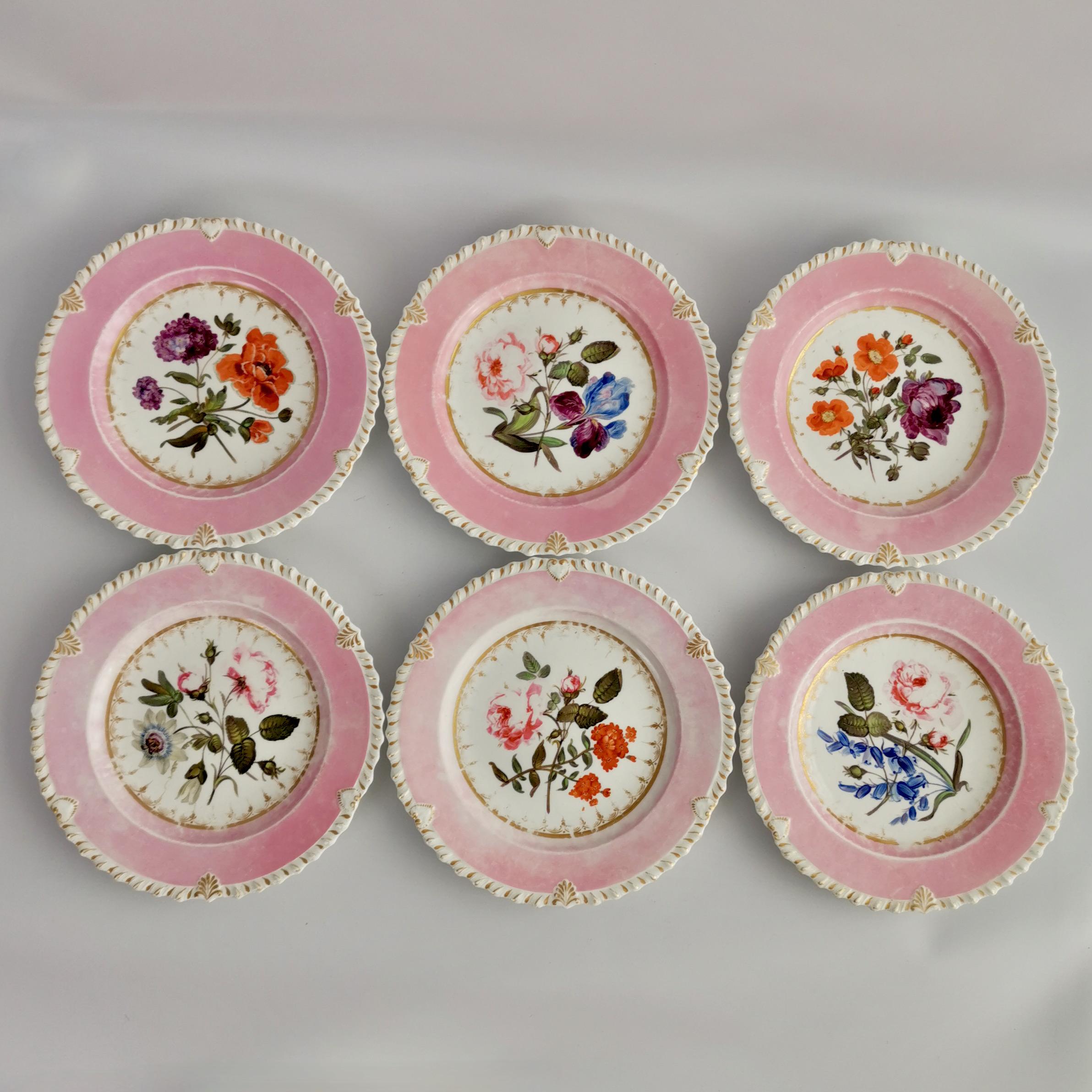 Coalport Porcelain Dessert Service, Pink with Flowers, Regency 1820-1825 11
