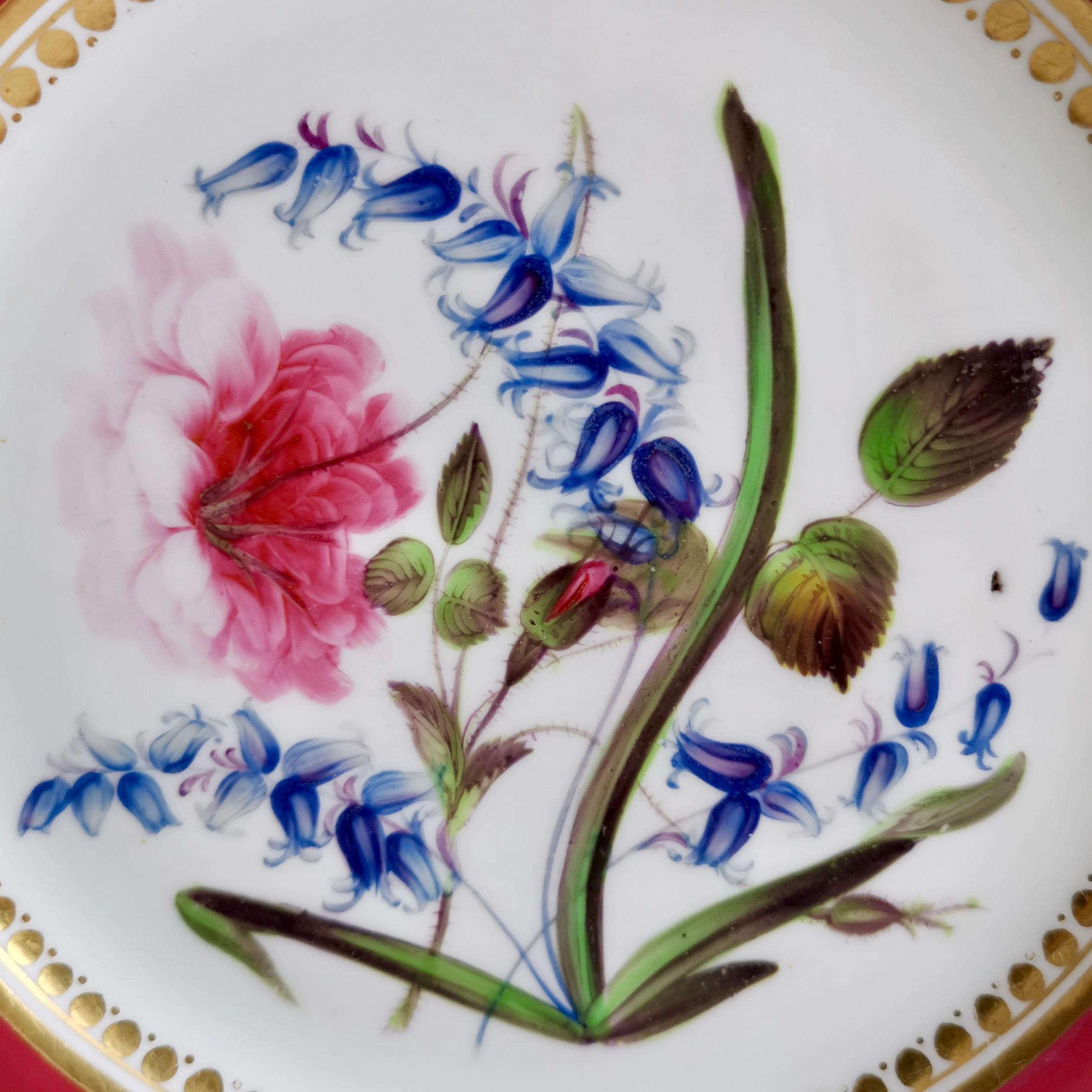 Coalport Porcelain Part-Dessert Service, Maroon Botanical Cecil Jones, 1820-1825 1