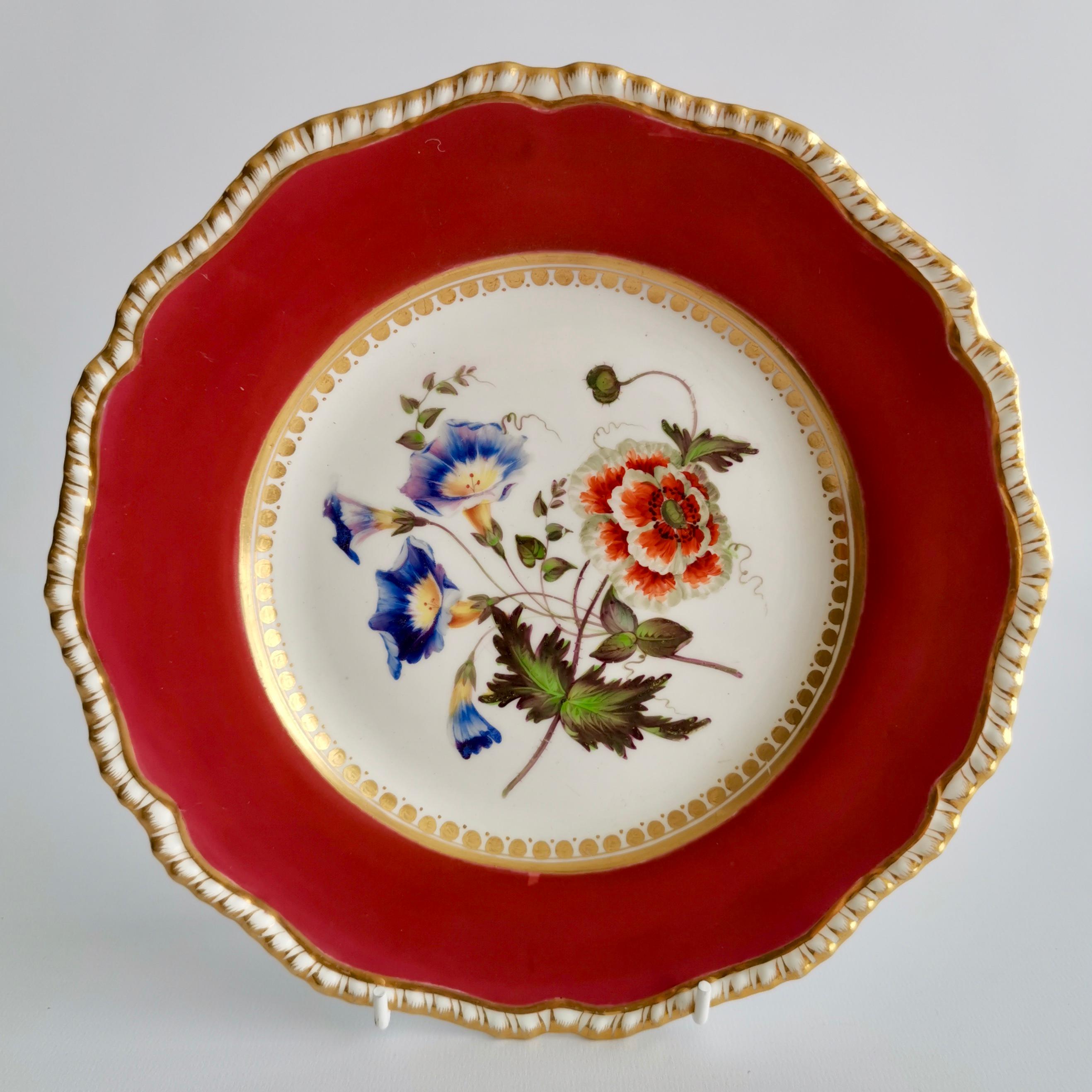 Coalport Porcelain Part-Dessert Service, Maroon Botanical Cecil Jones, 1820-1825 2