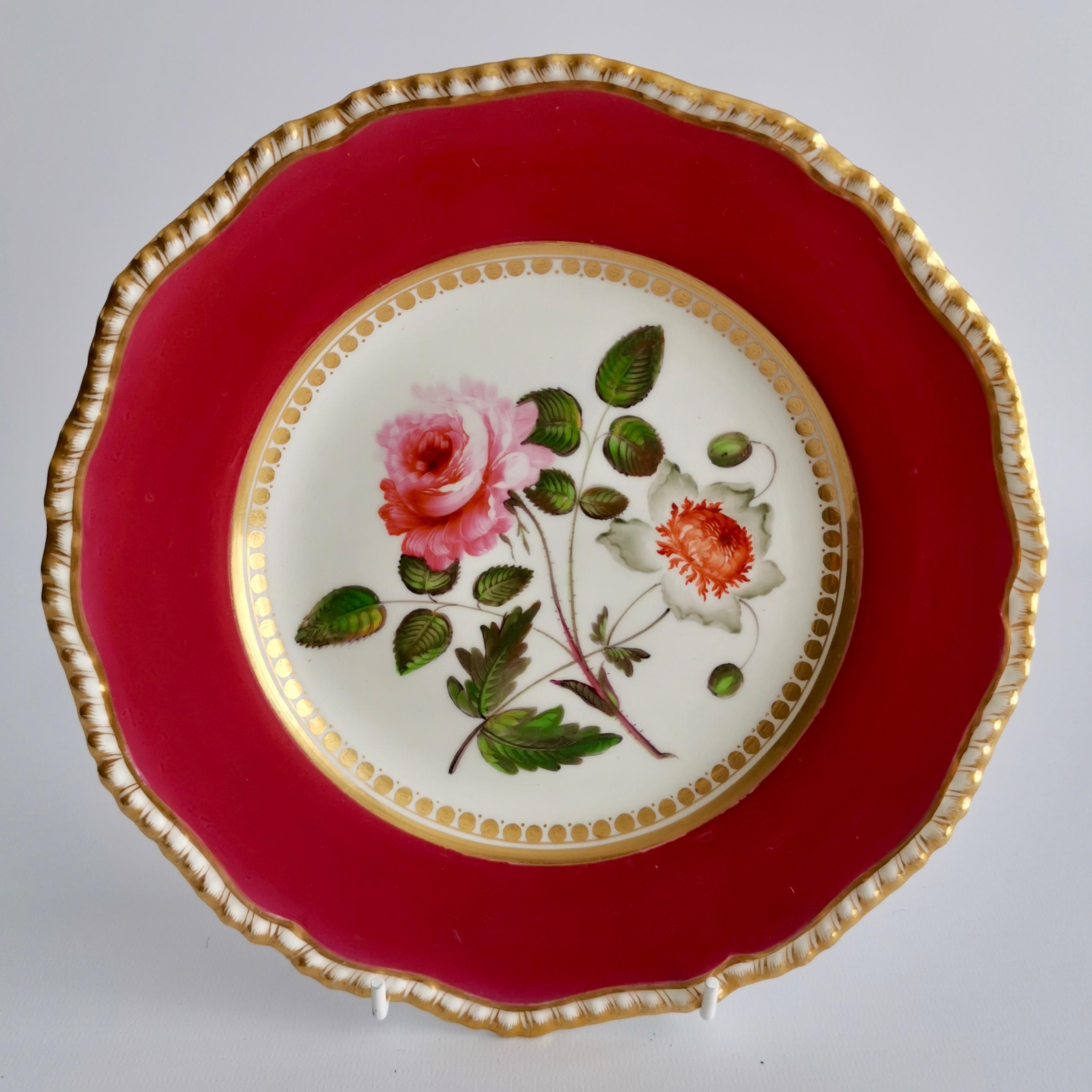 Coalport Porcelain Part-Dessert Service, Maroon Botanical Cecil Jones, 1820-1825 3