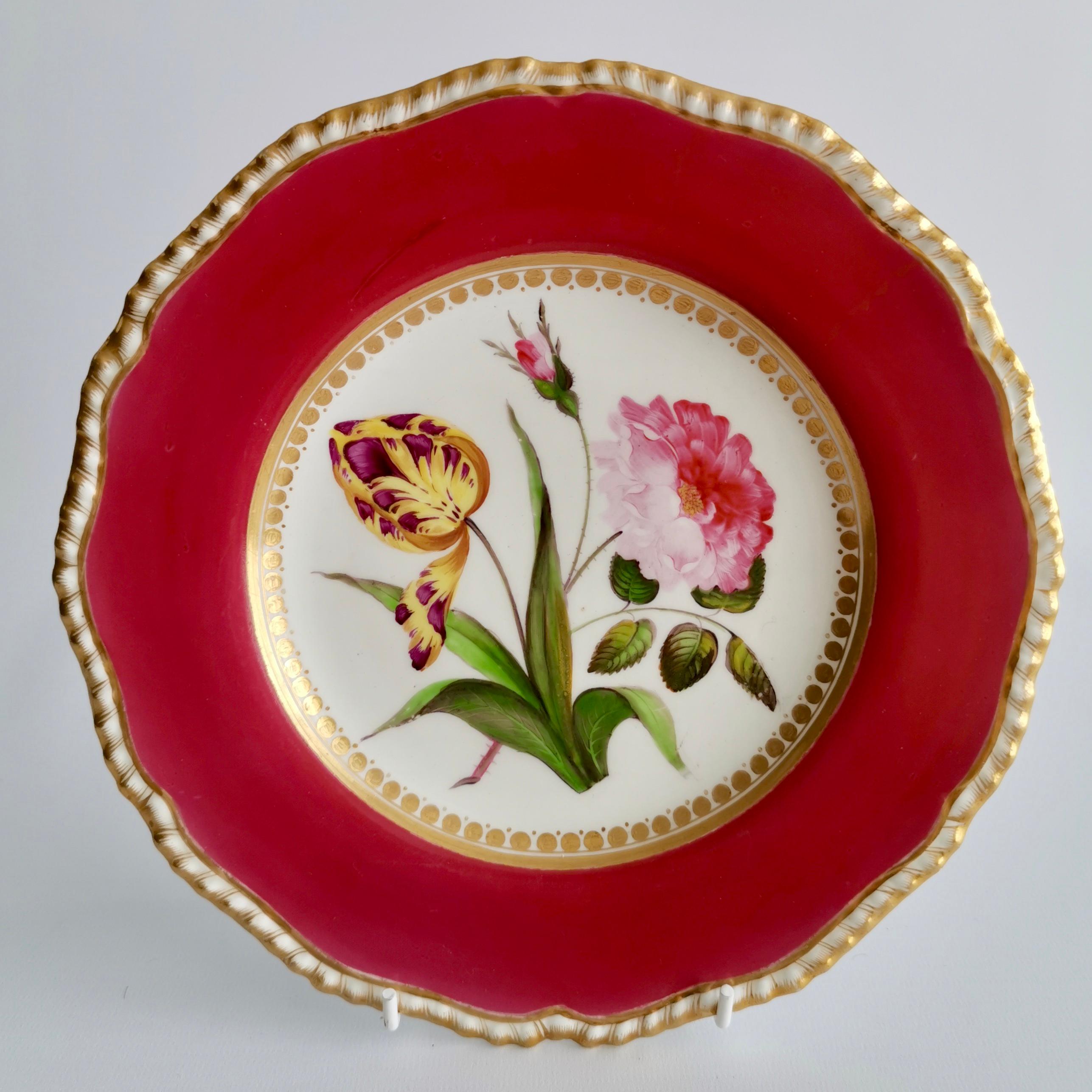 Coalport Porcelain Part-Dessert Service, Maroon Botanical Cecil Jones, 1820-1825 4