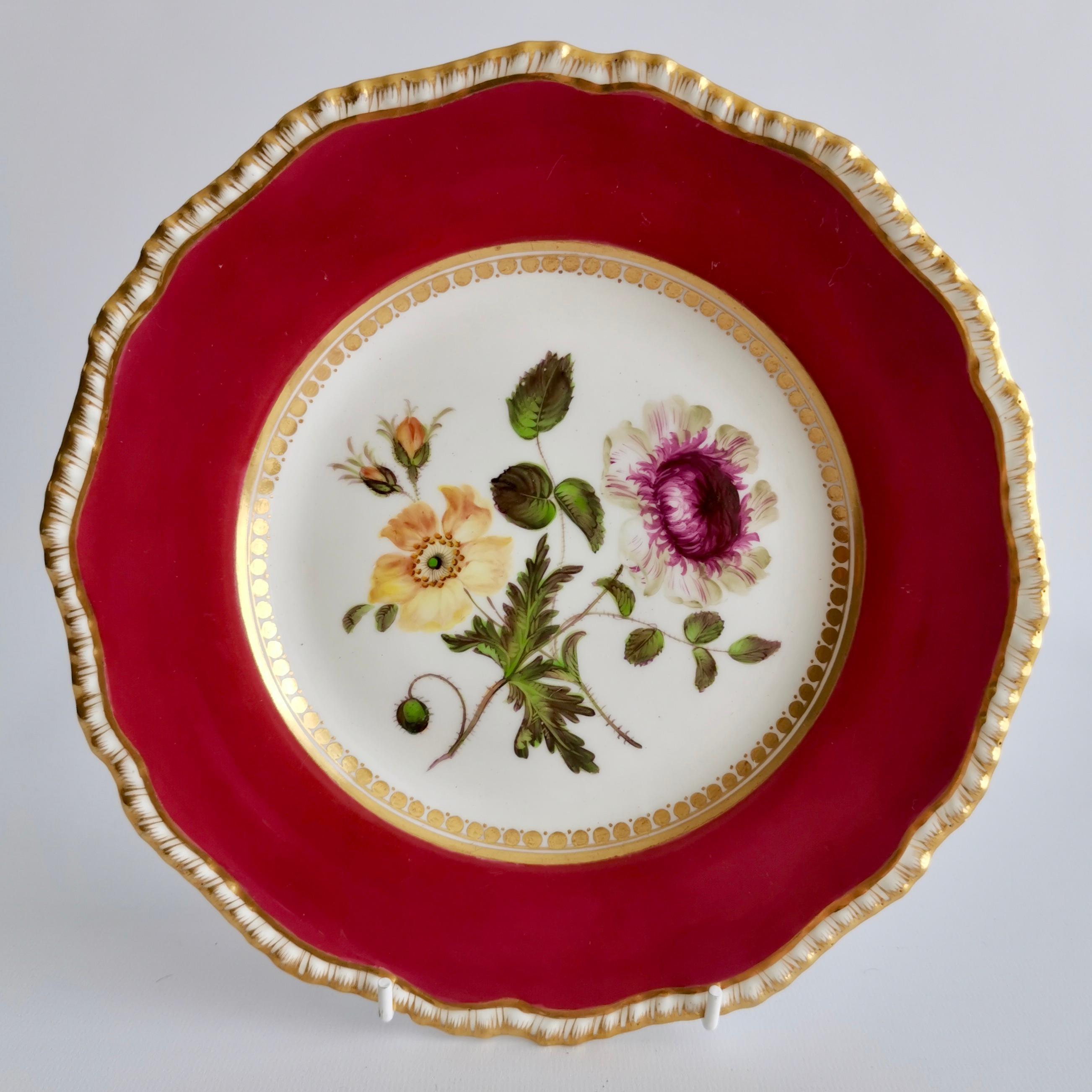 Coalport Porcelain Part-Dessert Service, Maroon Botanical Cecil Jones, 1820-1825 5