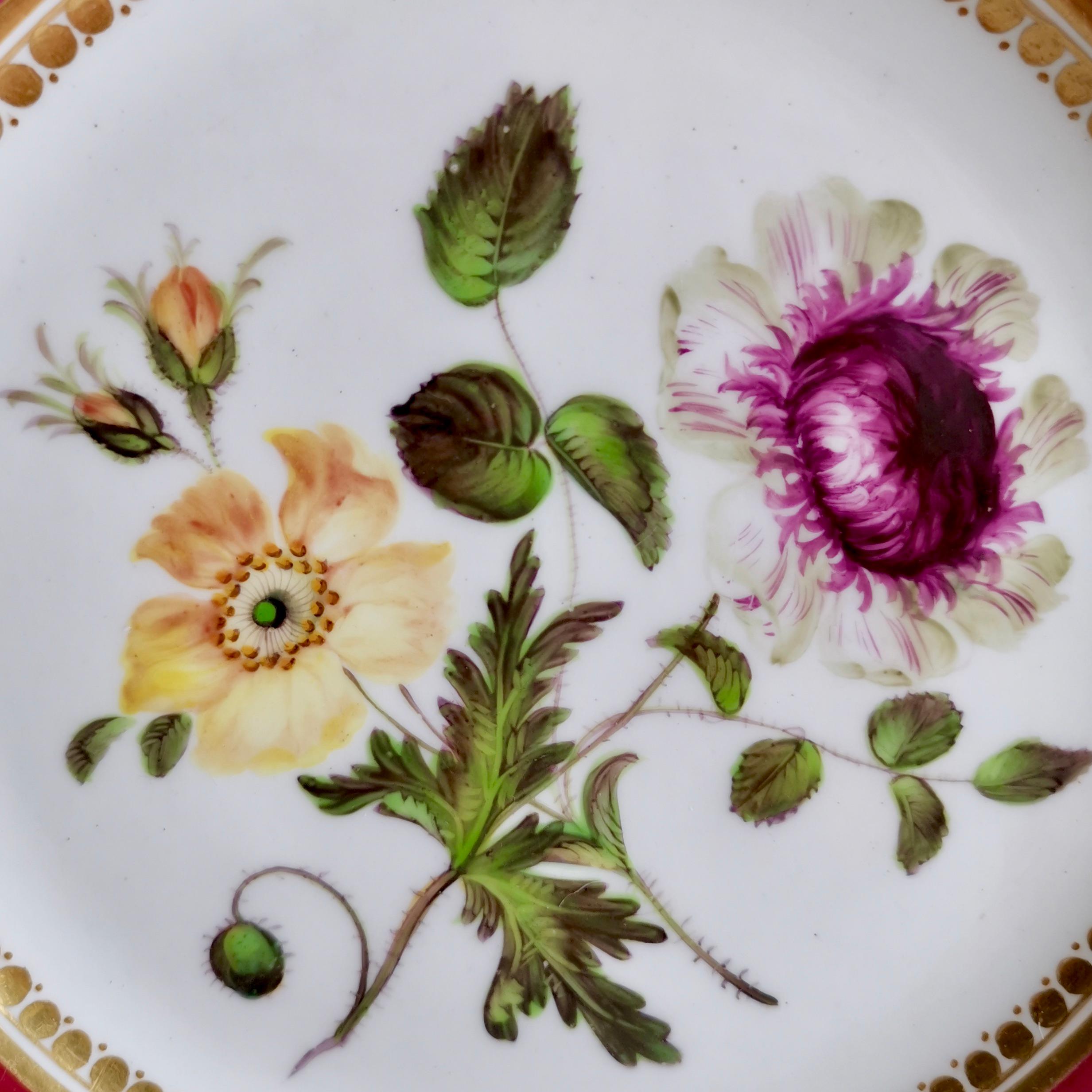 Coalport Porcelain Part-Dessert Service, Maroon Botanical Cecil Jones, 1820-1825 6