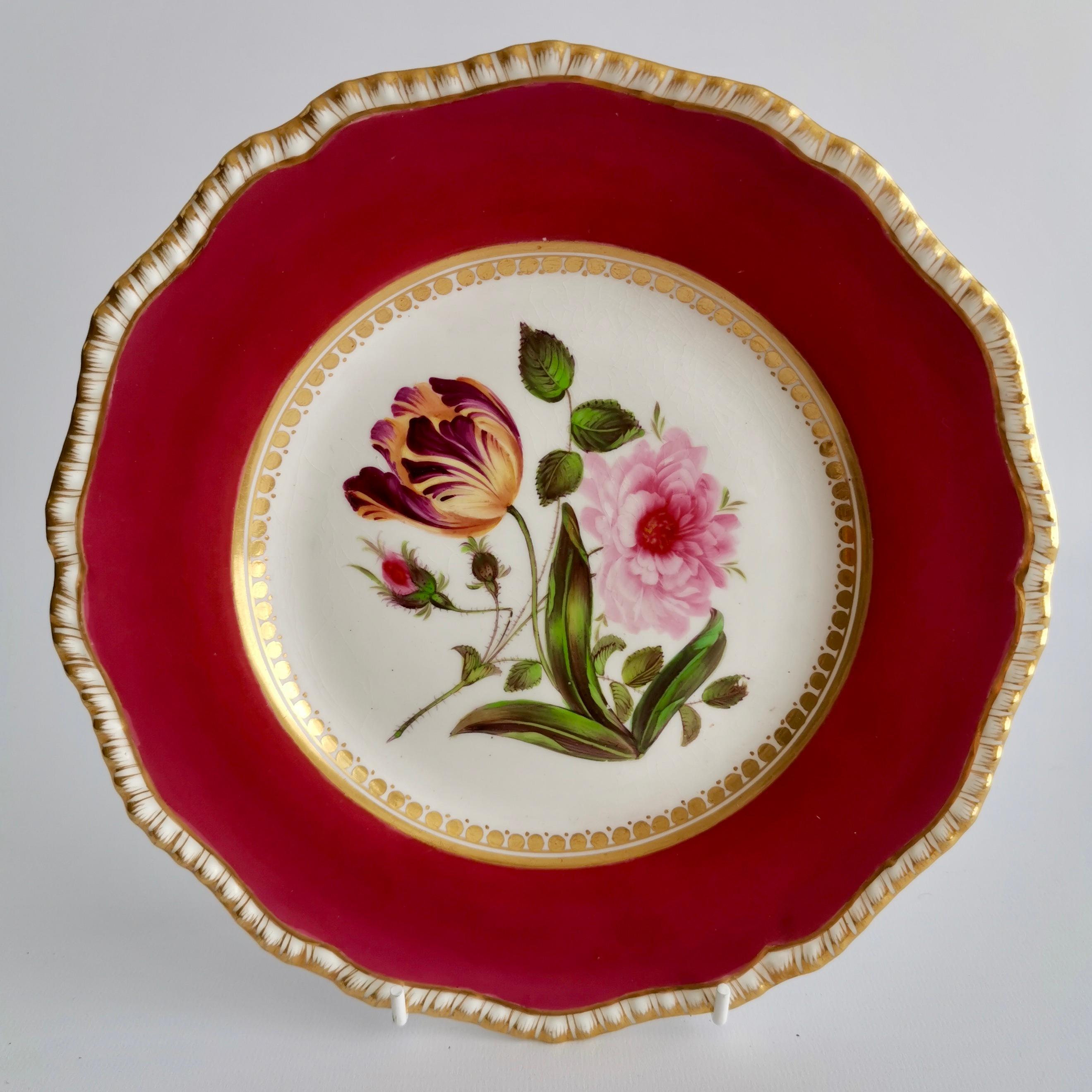 Coalport Porcelain Part-Dessert Service, Maroon Botanical Cecil Jones, 1820-1825 7