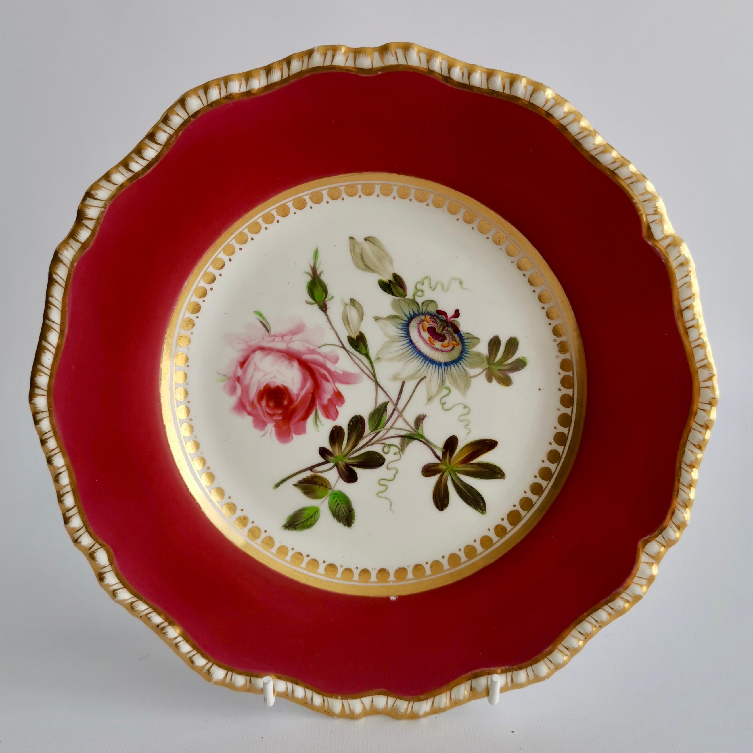 Coalport Porcelain Part-Dessert Service, Maroon Botanical Cecil Jones, 1820-1825 8