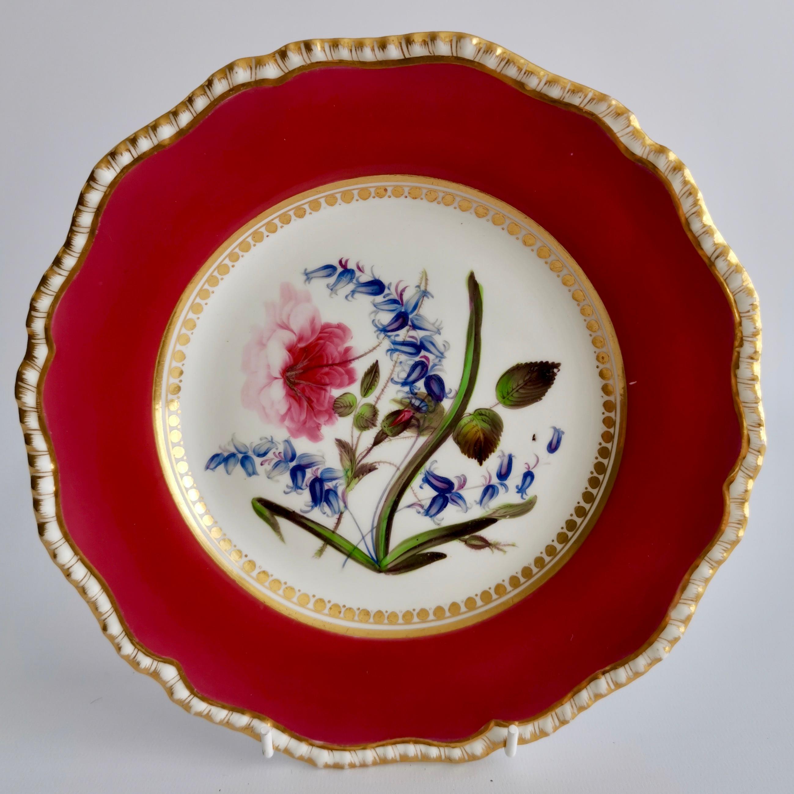 Early 19th Century Coalport Porcelain Part-Dessert Service, Maroon Botanical Cecil Jones, 1820-1825