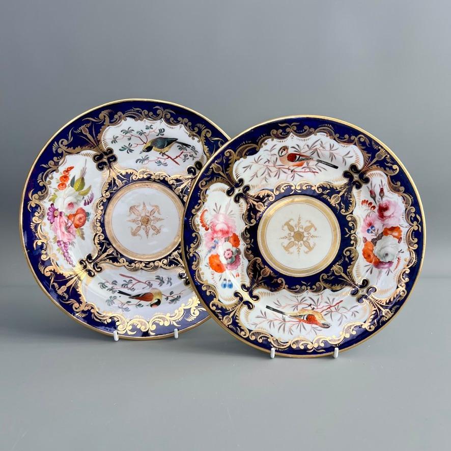 This is a beautiful plate made by Coalport between 1815 and 1820. The plate bears the famous and very wonderful bird pattern with the number 759. Panels with stunning hand painted birds and flowers are set in a cobalt blue background with rich gilt
