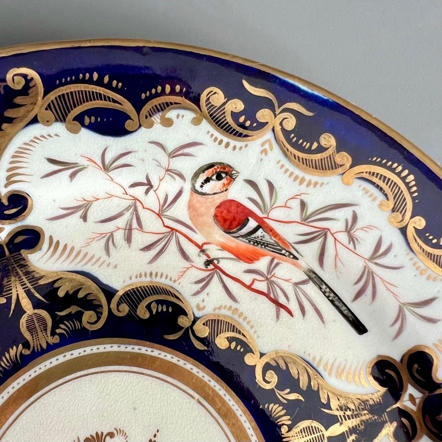 English Coalport Porcelain Plate, Birds and Flowers, Cobalt Blue Patt.759, 1815-1820 (2) For Sale